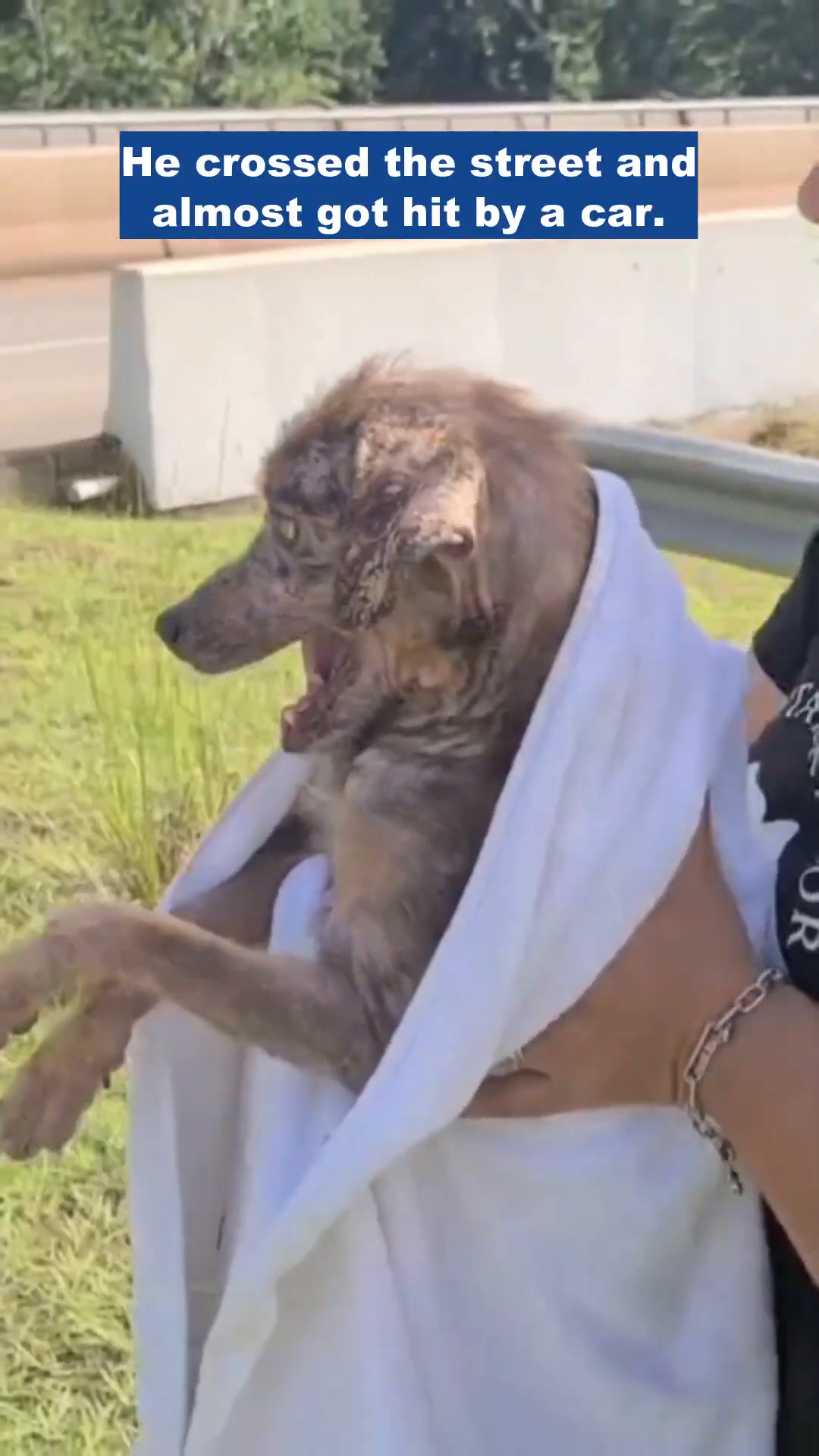 A woman in a black t-shirt gently wraps a white towel around a small dog.