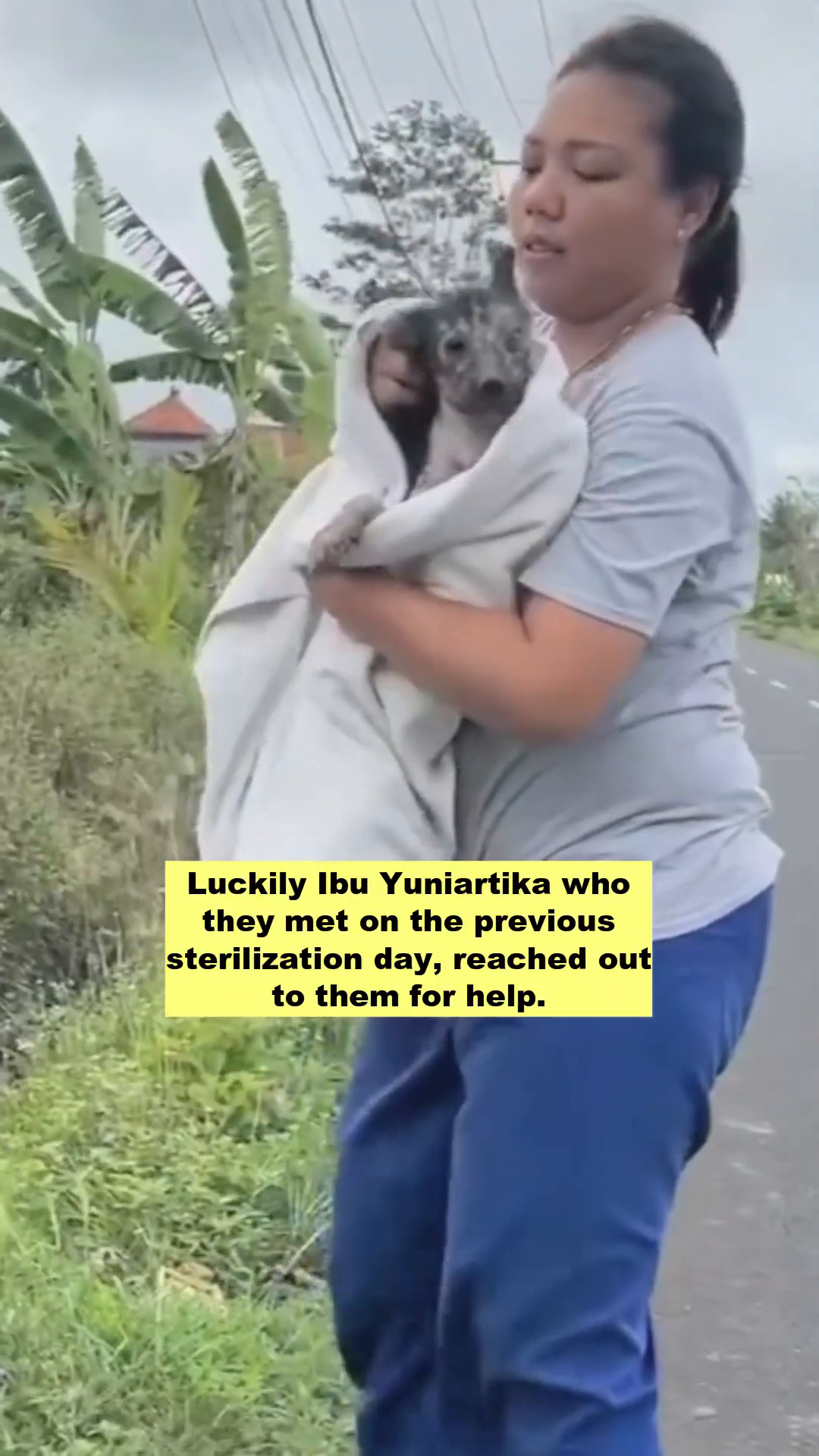 A woman gently carrying a small, hairless dog wrapped in a blanket.