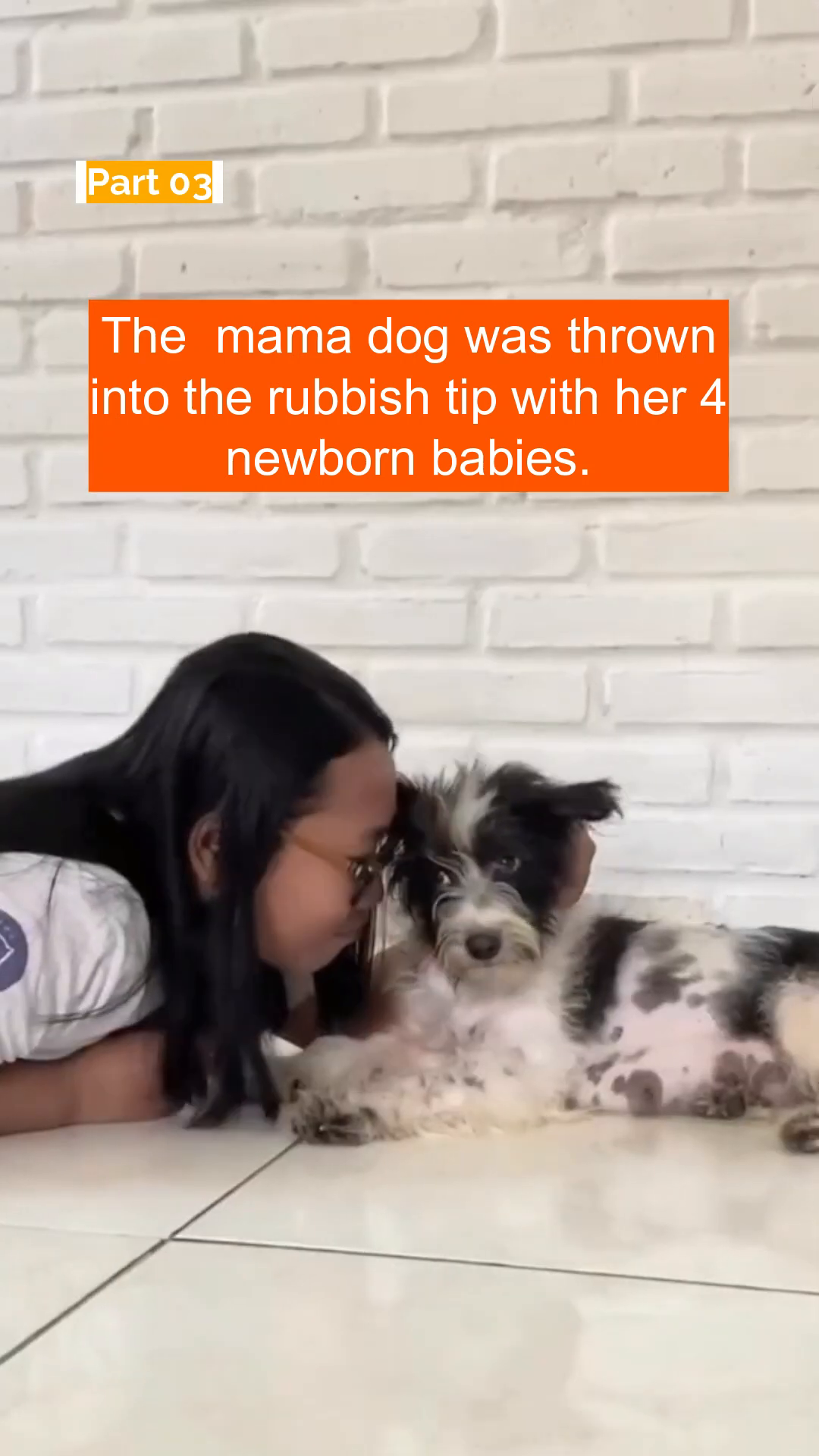 A mama dog is shown with her litter of four newborn puppies.