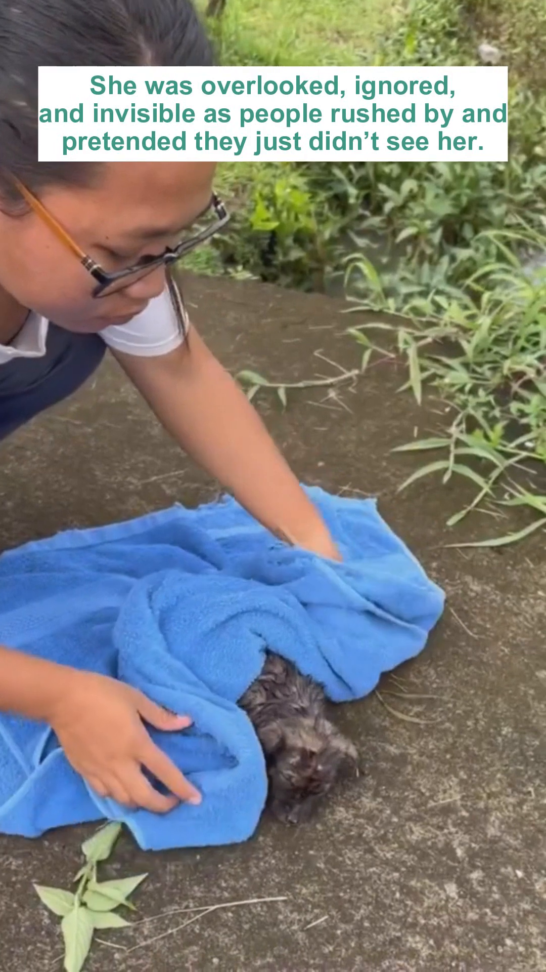 A person's hands gently wrap a small, wet puppy in a bright blue towel.
