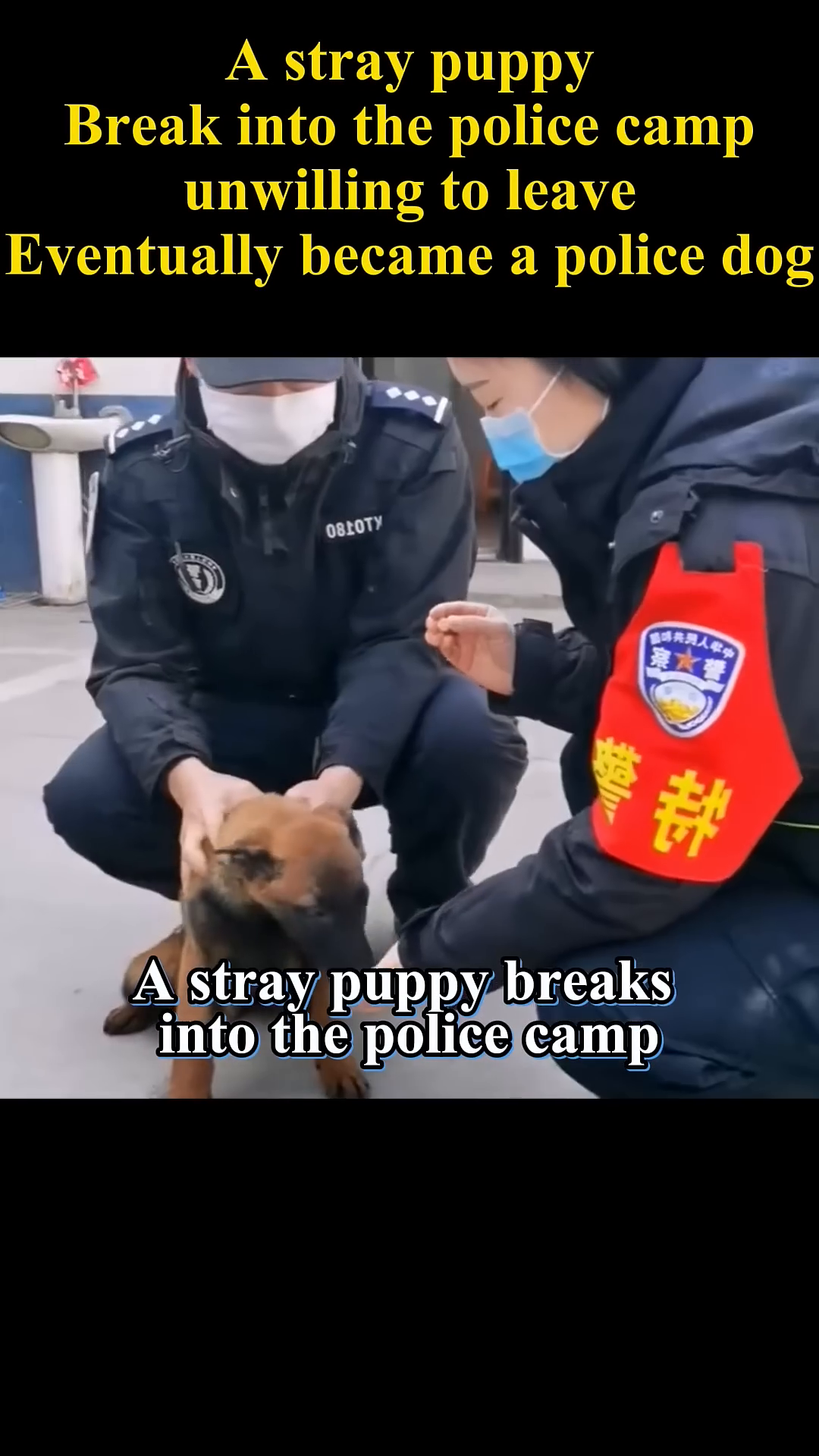 Two police officers gently interact with the puppy, who is eating from a bowl.