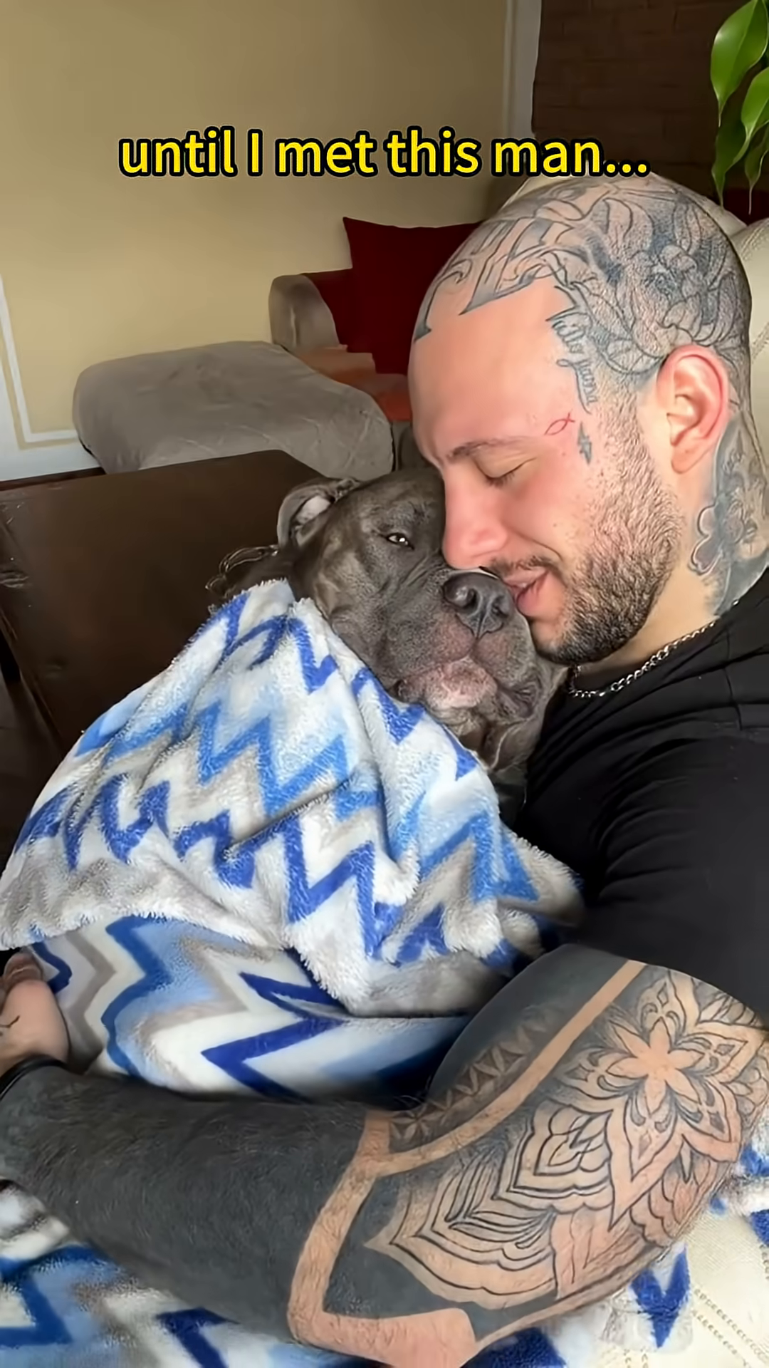A man with tattoos gently looks at a bully dog in a shelter cage.