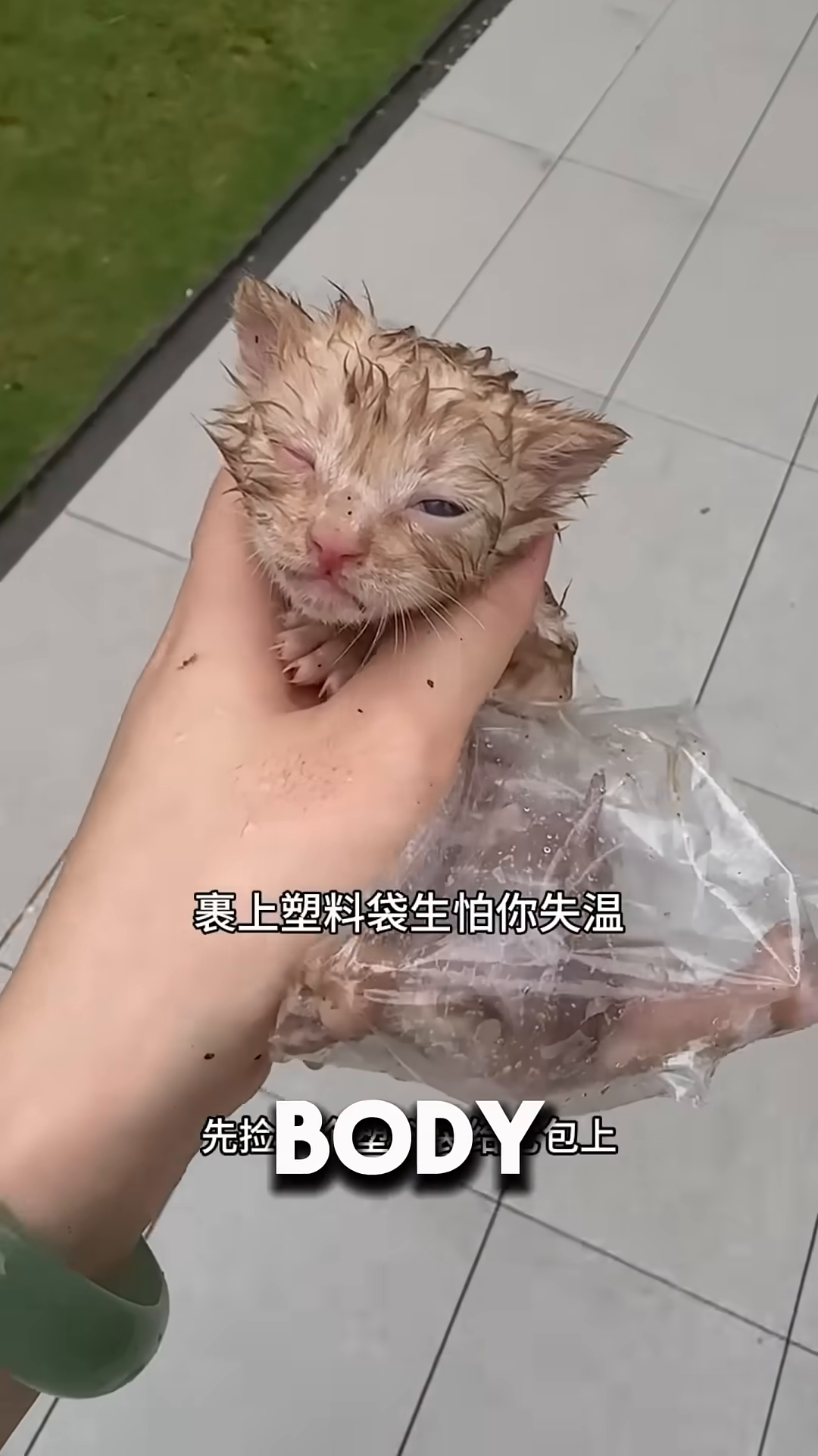 A person holds a small kitten wrapped in a clear plastic bag, the kitten's eyes are partially closed.