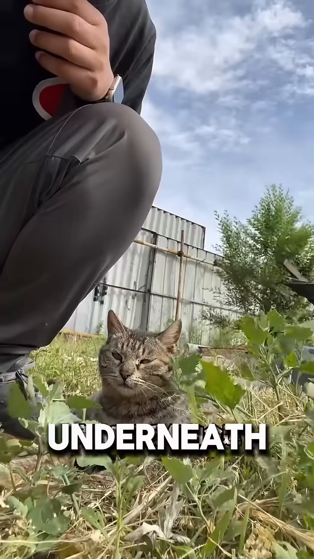 A man looking down at a cat and kittens nestled under debris.