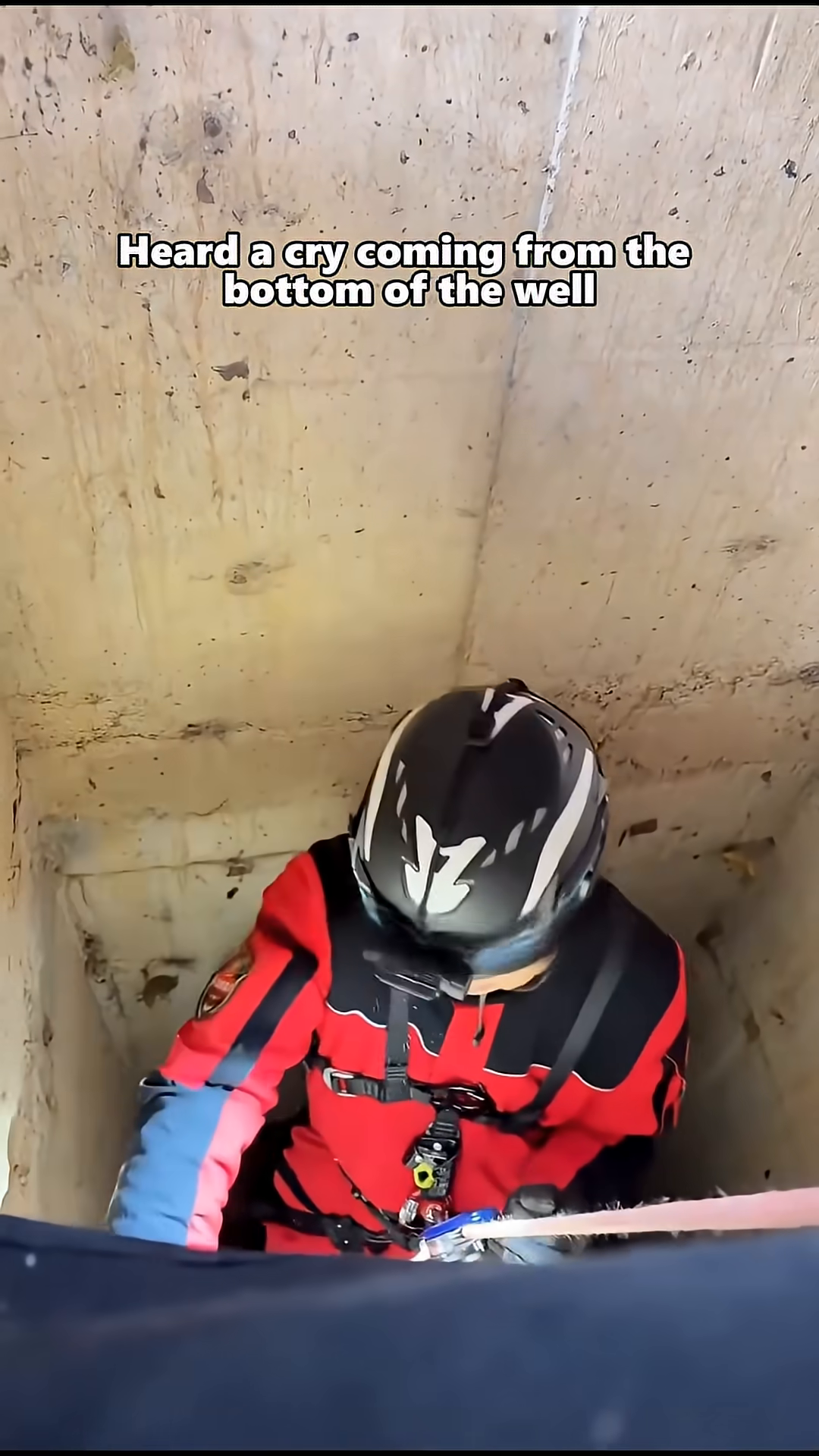 Three small, helpless kittens huddled together at the bottom of the well.