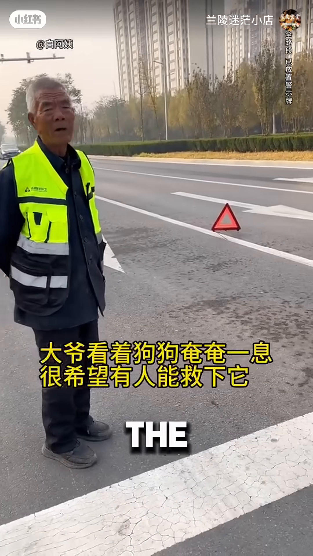 An old man in a safety vest looks concernedly at the injured dog.