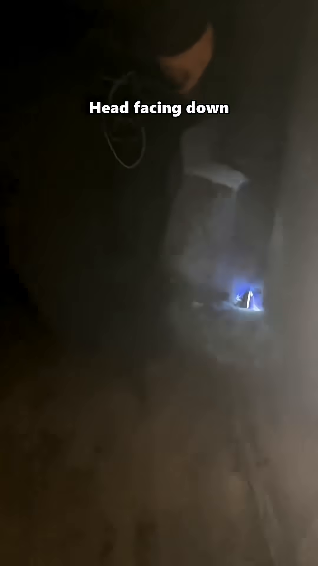 Rescuers peer into a pipe, seeing only a kitten's paws and tail.