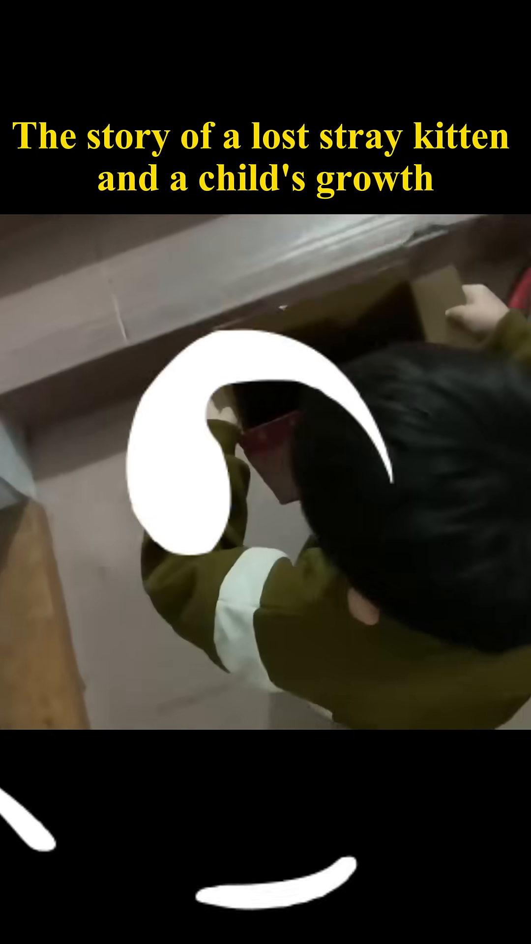 The boy gently places the small kitten into a cardboard box.