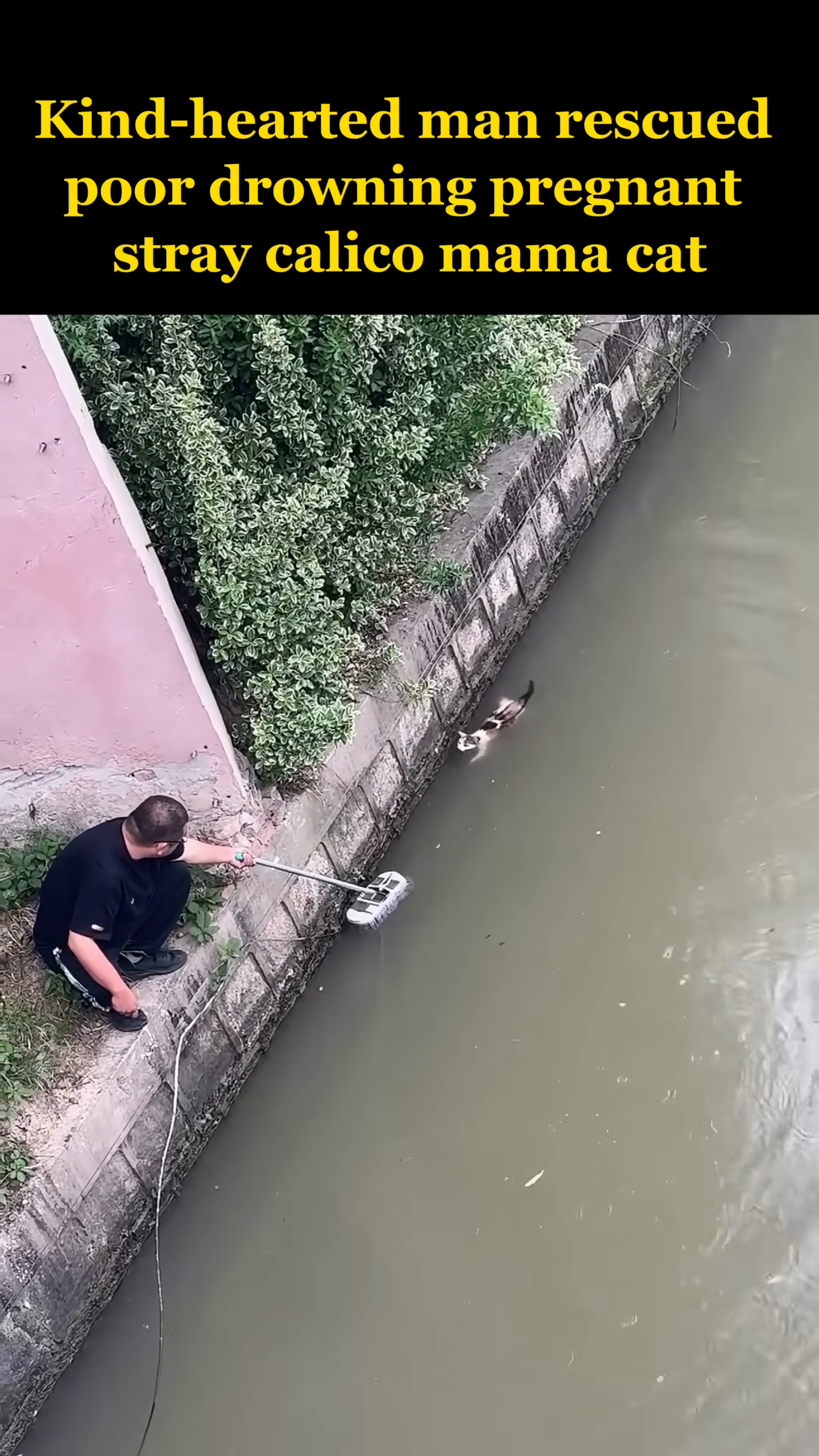 A man kneels at the edge of the canal, holding a long pole with a net.