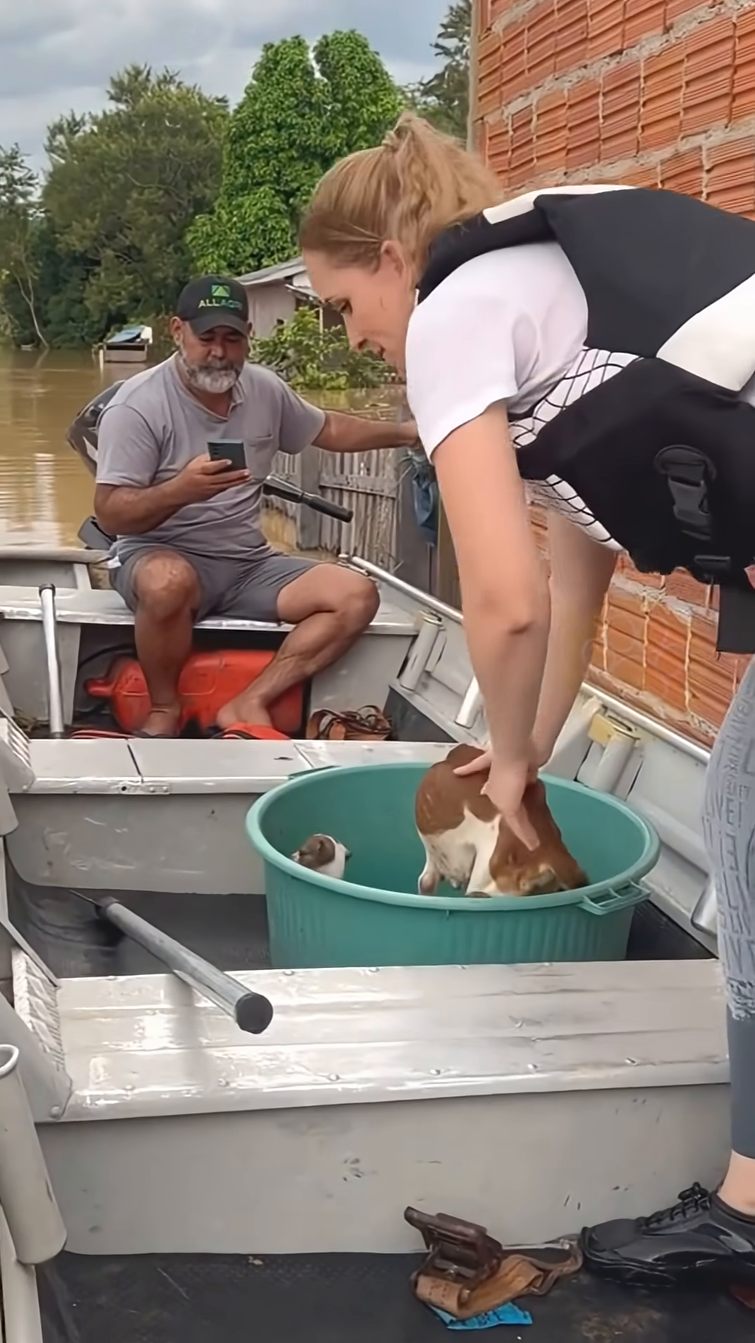 Rescuers place the mother dog and her puppies into a large plastic basin for safety.