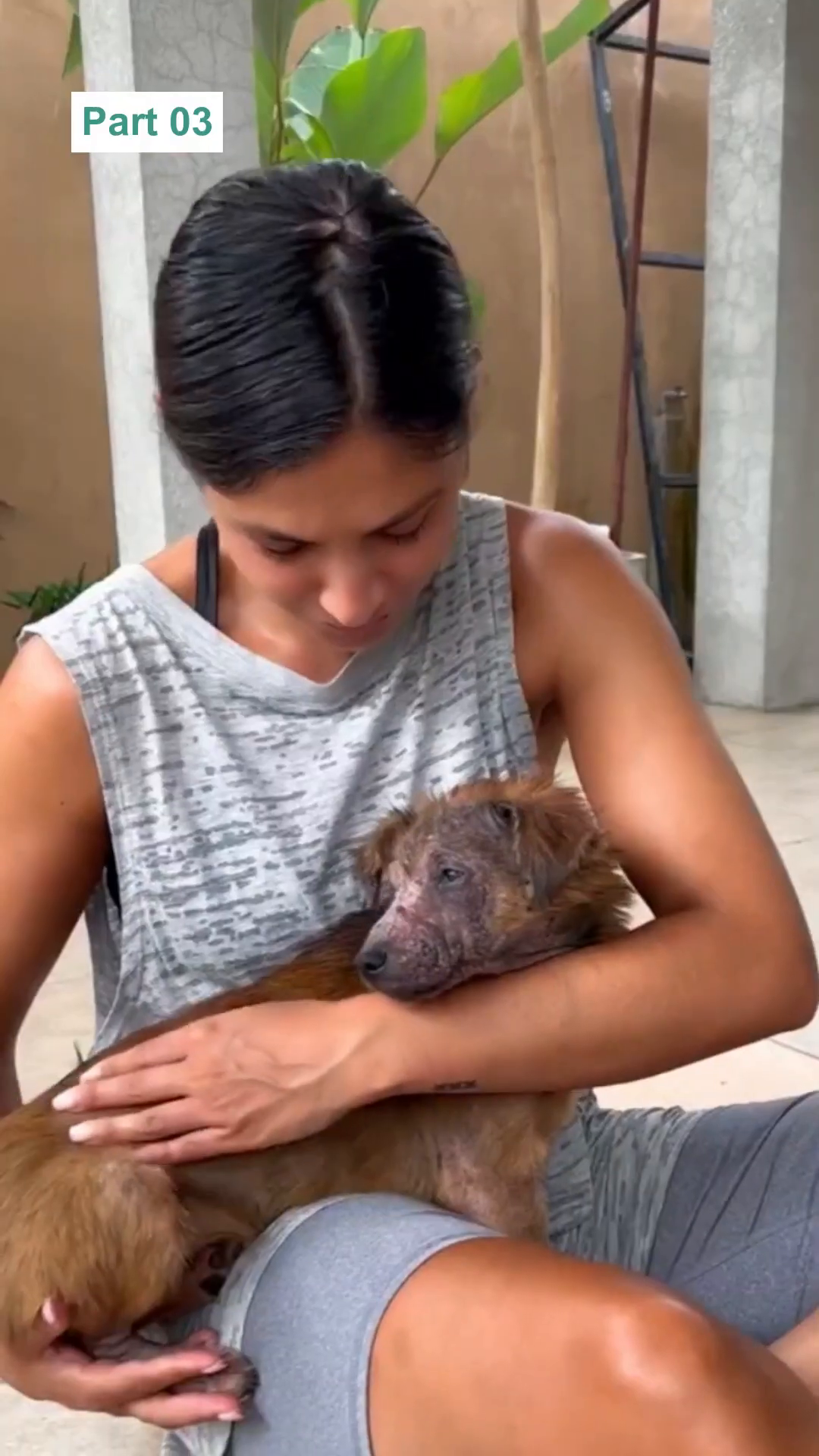 A woman holds a small dog, stroking its back, with a look of affection.