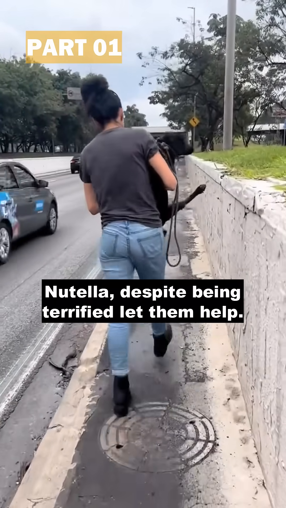A woman carries the black dog, Nutella, in her arms.