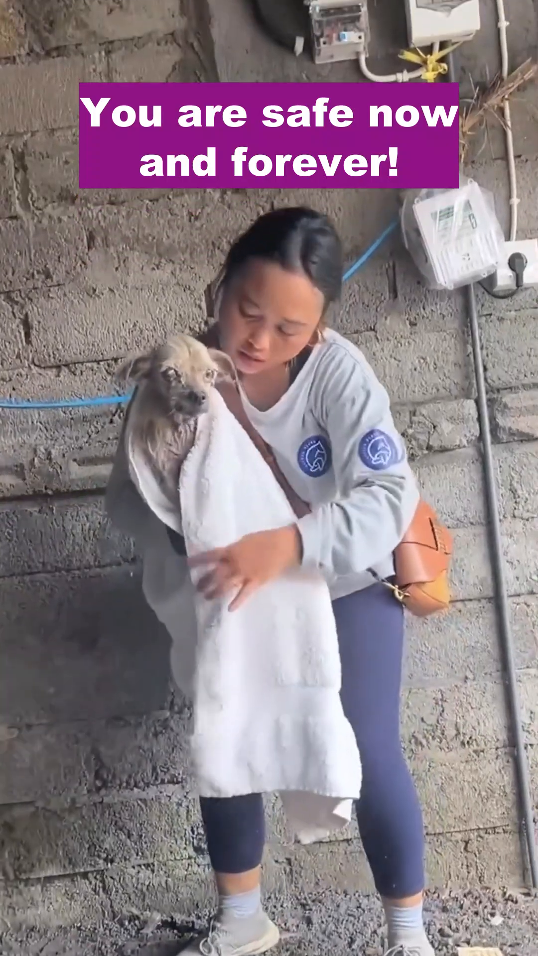 A woman gently holds the rescued puppy, wrapped in a white towel, looking down at him with concern.