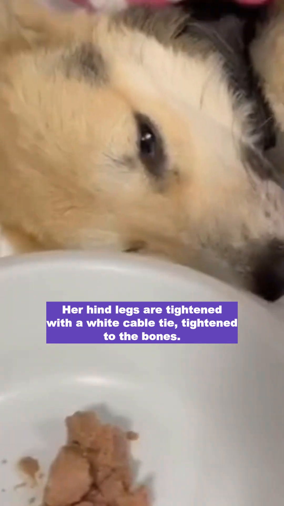 Riga is being prepared for surgery, looking frail but with a hint of hope in her eyes.