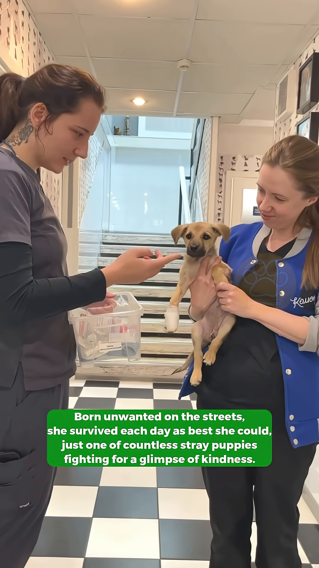 A woman in scrubs gently touches a puppy held by another person, both smiling.