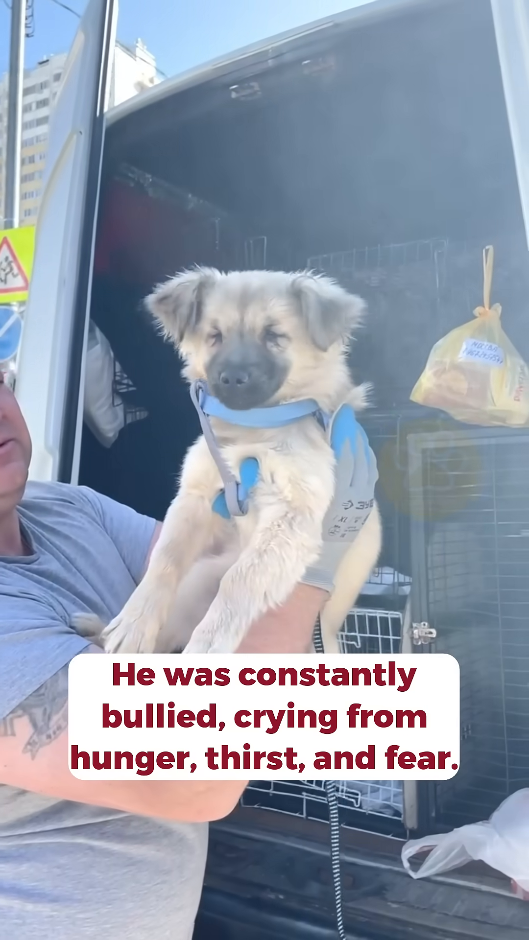 A woman is holding a small puppy, looking at it with concern.