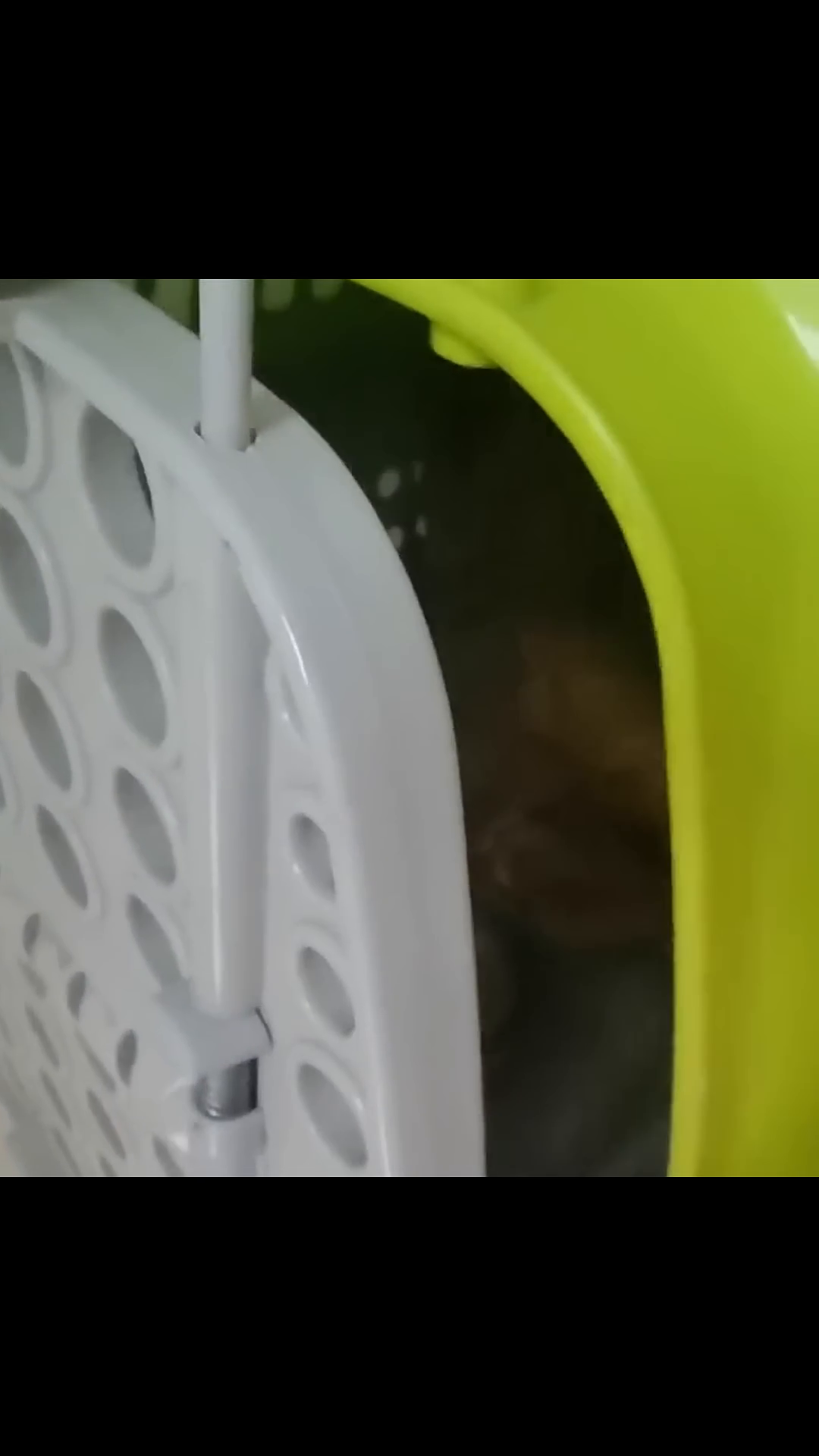 The ginger cat being placed into a carrier for transport.