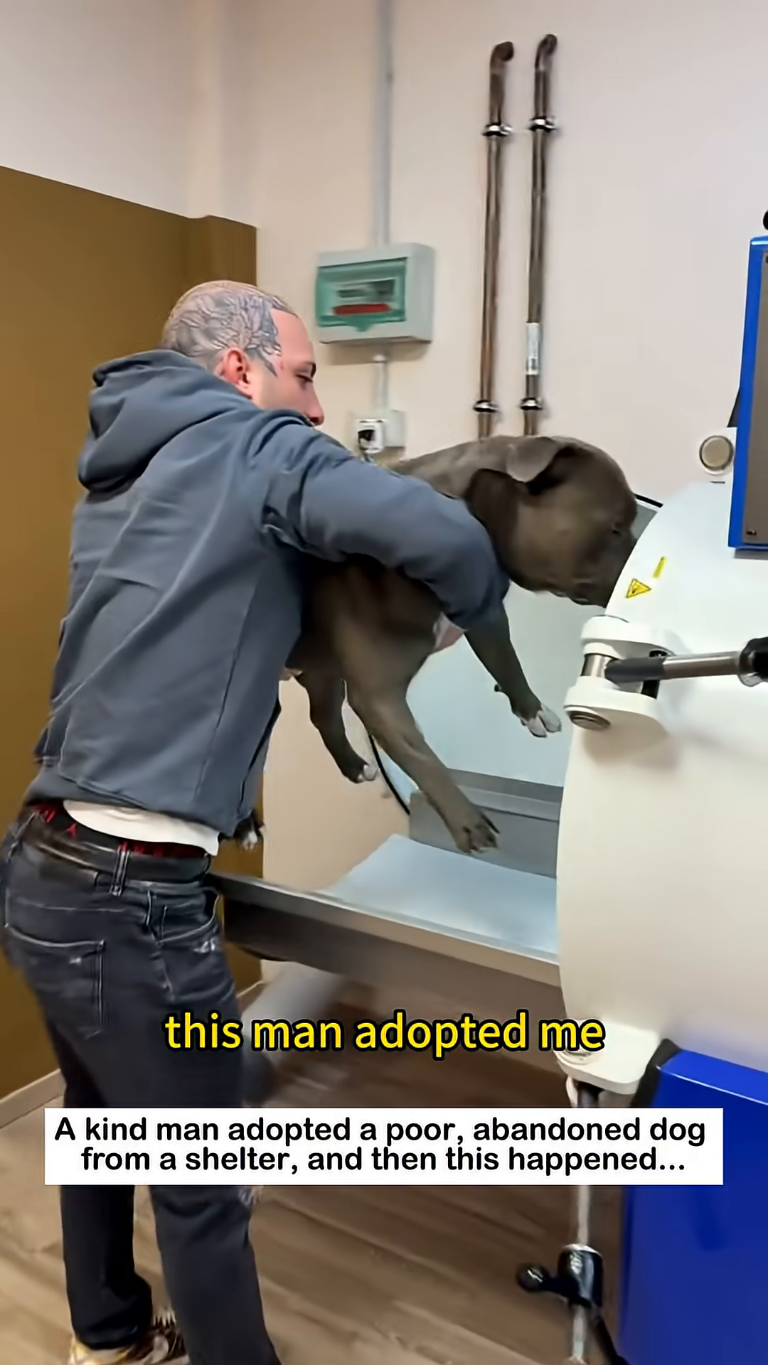 A man carries a bully dog out of a shelter, the dog looking trusting.