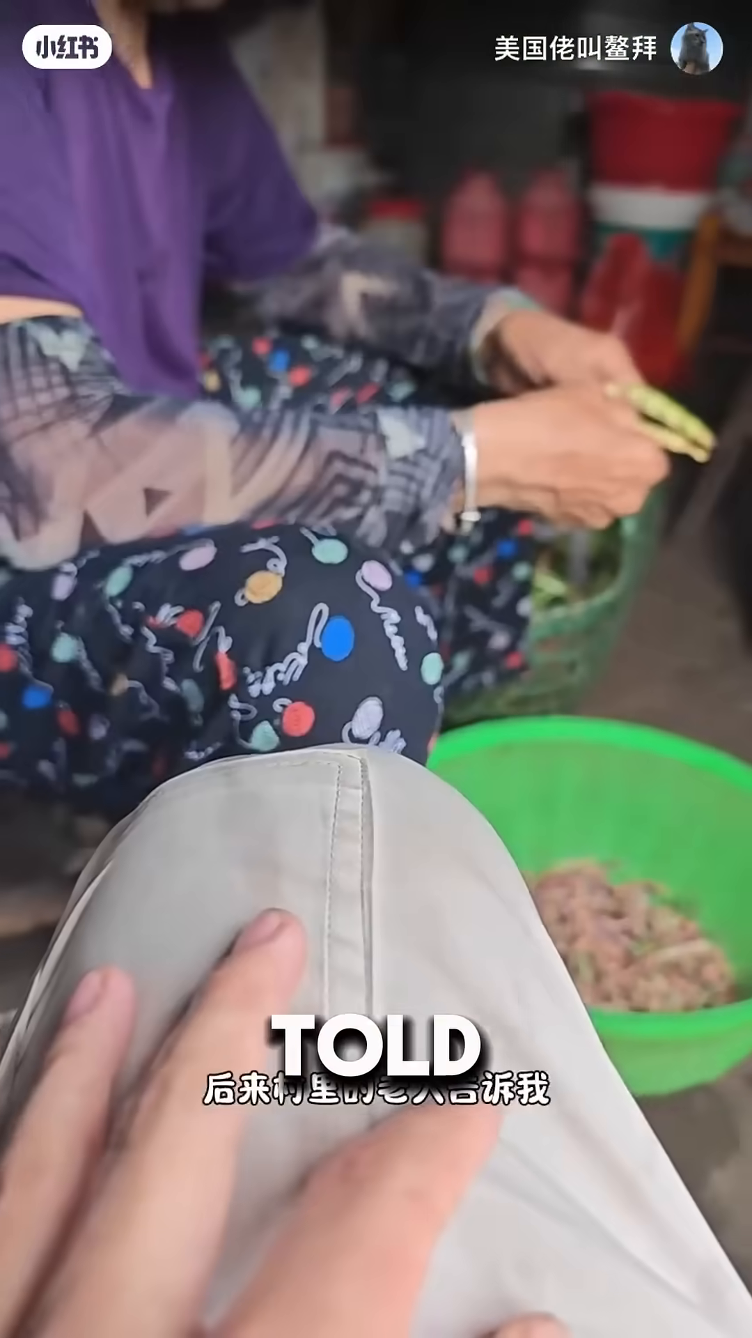 A person's hand is shown holding a bowl with cat food and packets.