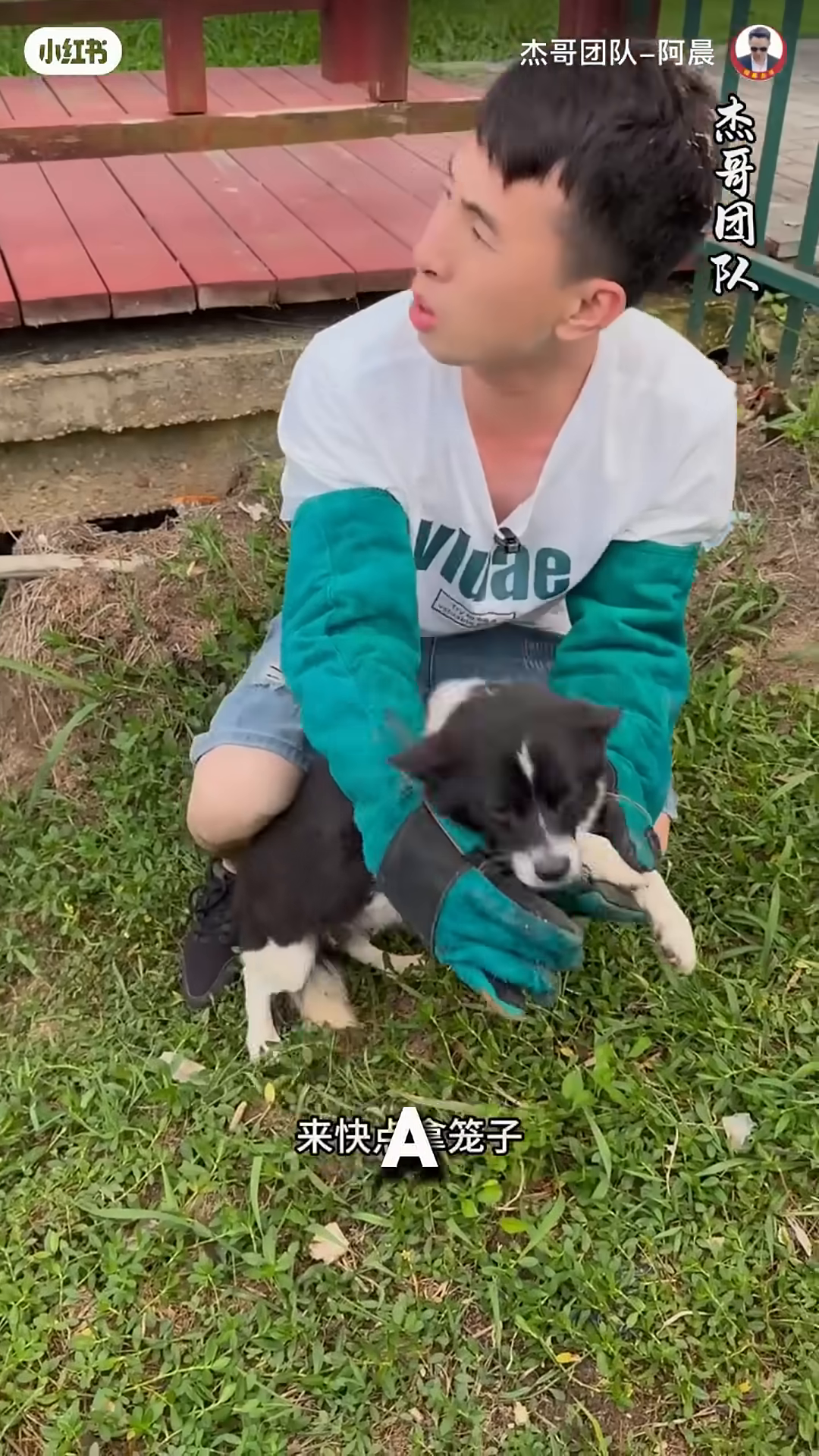 A man gently holding a scared mother dog.
