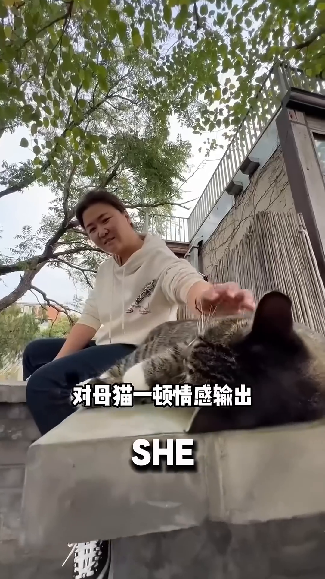 A woman smiling and petting a tabby cat that is sitting on a low wall.