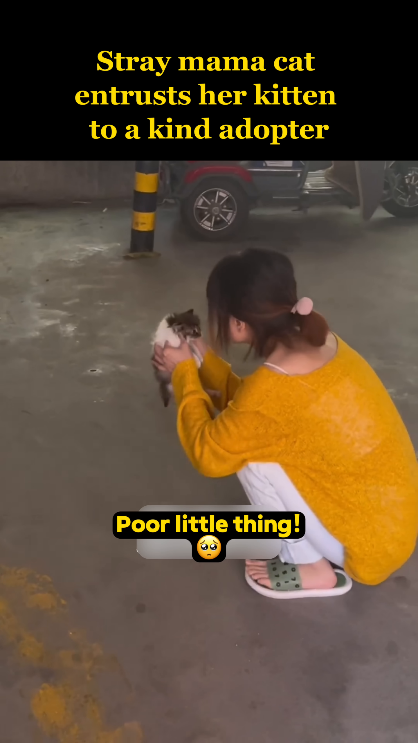 The stranger holds the small, scared kitten close, offering comfort.