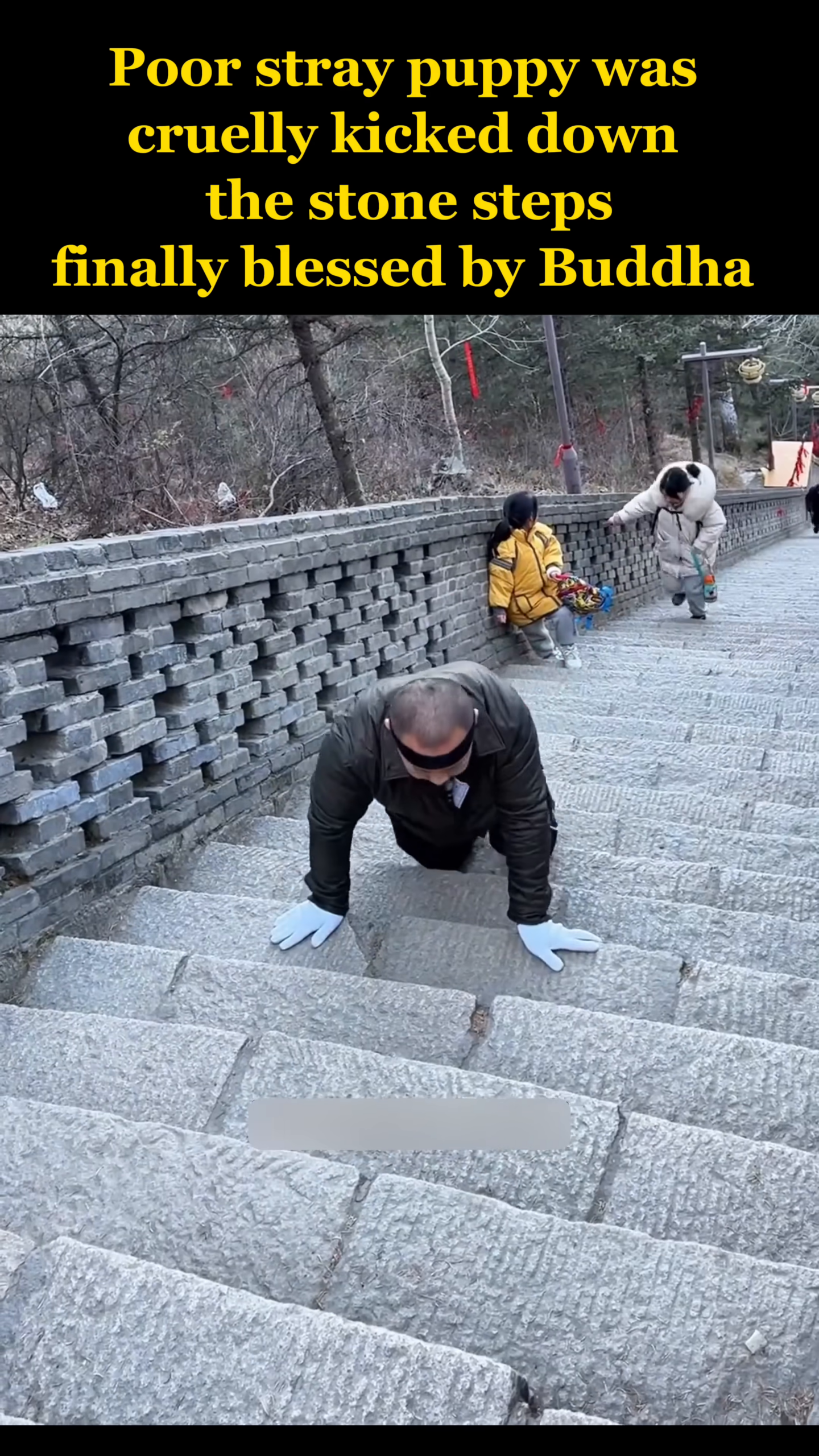 A person's hands gently reaching out towards the scared puppy on the steps.