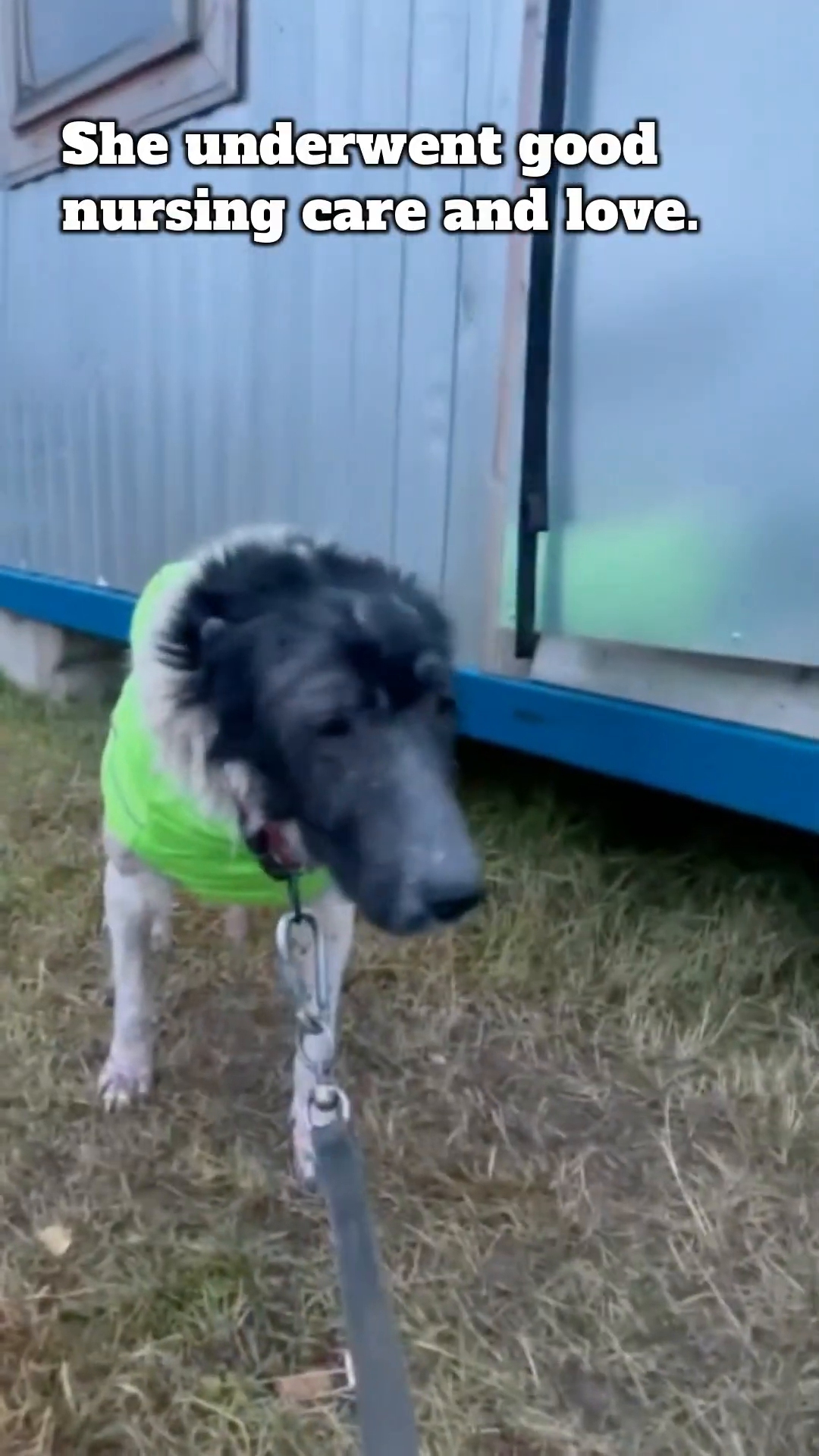 Lun-ka, wearing a bright green coat, looks healthier and more alert.