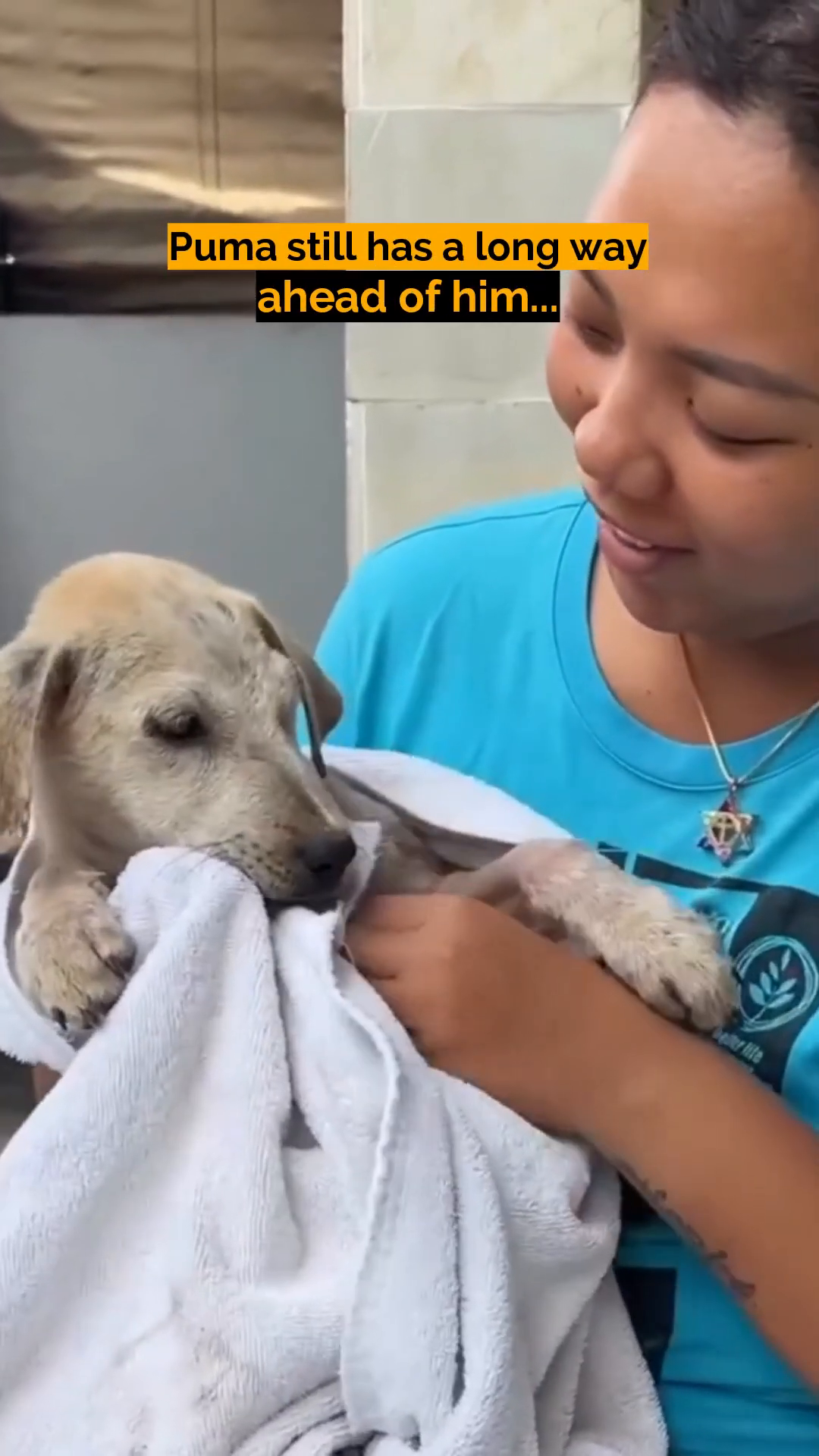 A woman gently holds the puppy, who is wrapped in a towel, looking at him with affection.