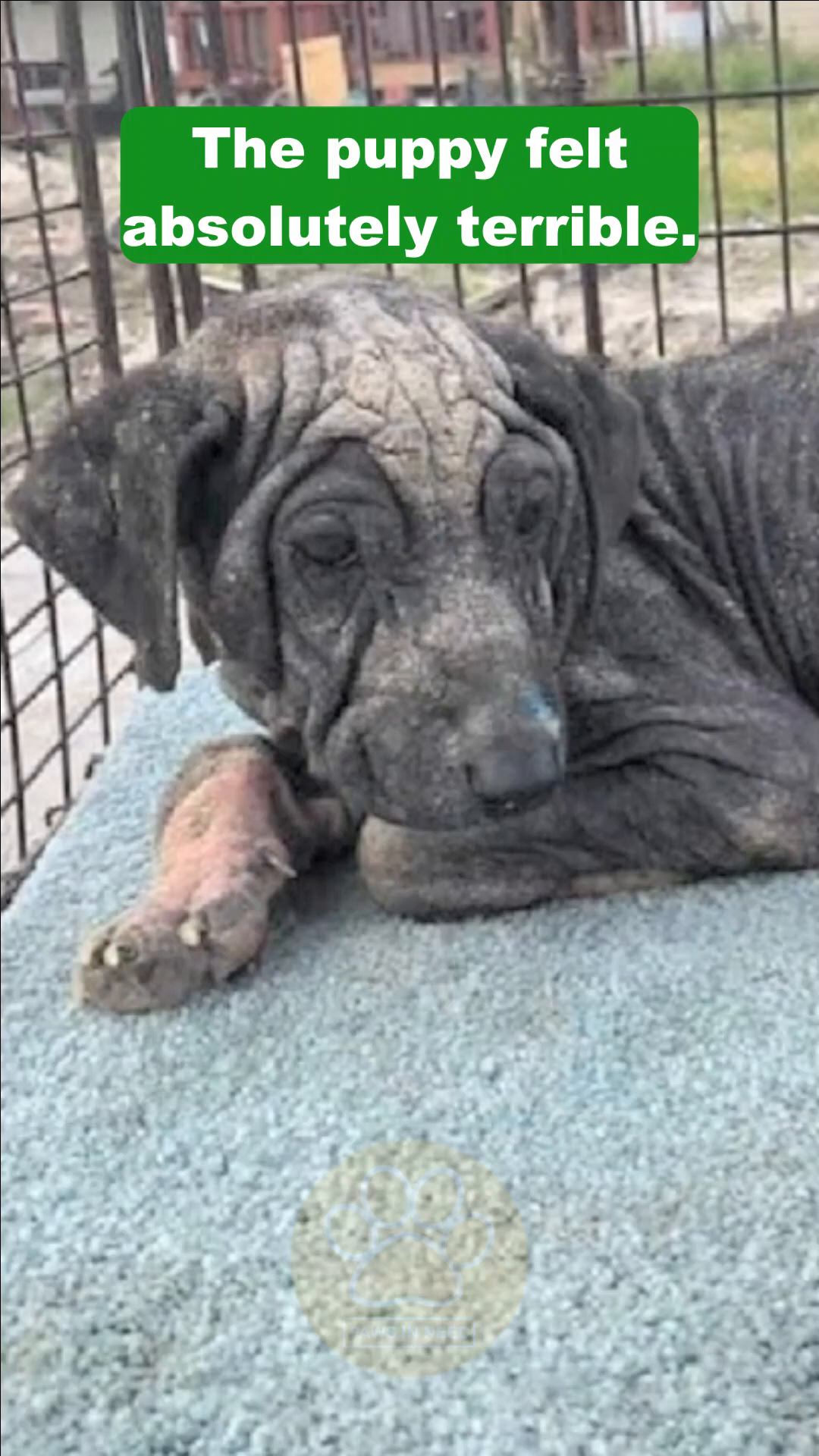 A close-up of Eden's face, revealing her wrinkled skin and sad eyes.