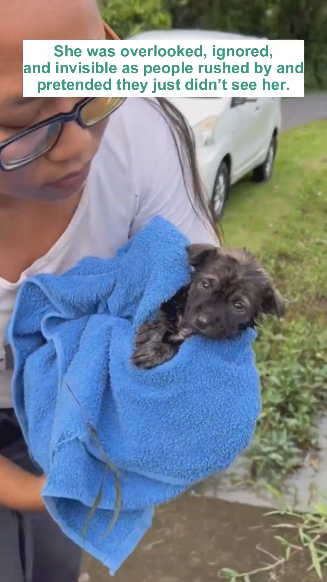Close-up of a puppy's face, eyes closed, nestled in a blue towel. Its fur is matted and dirty.