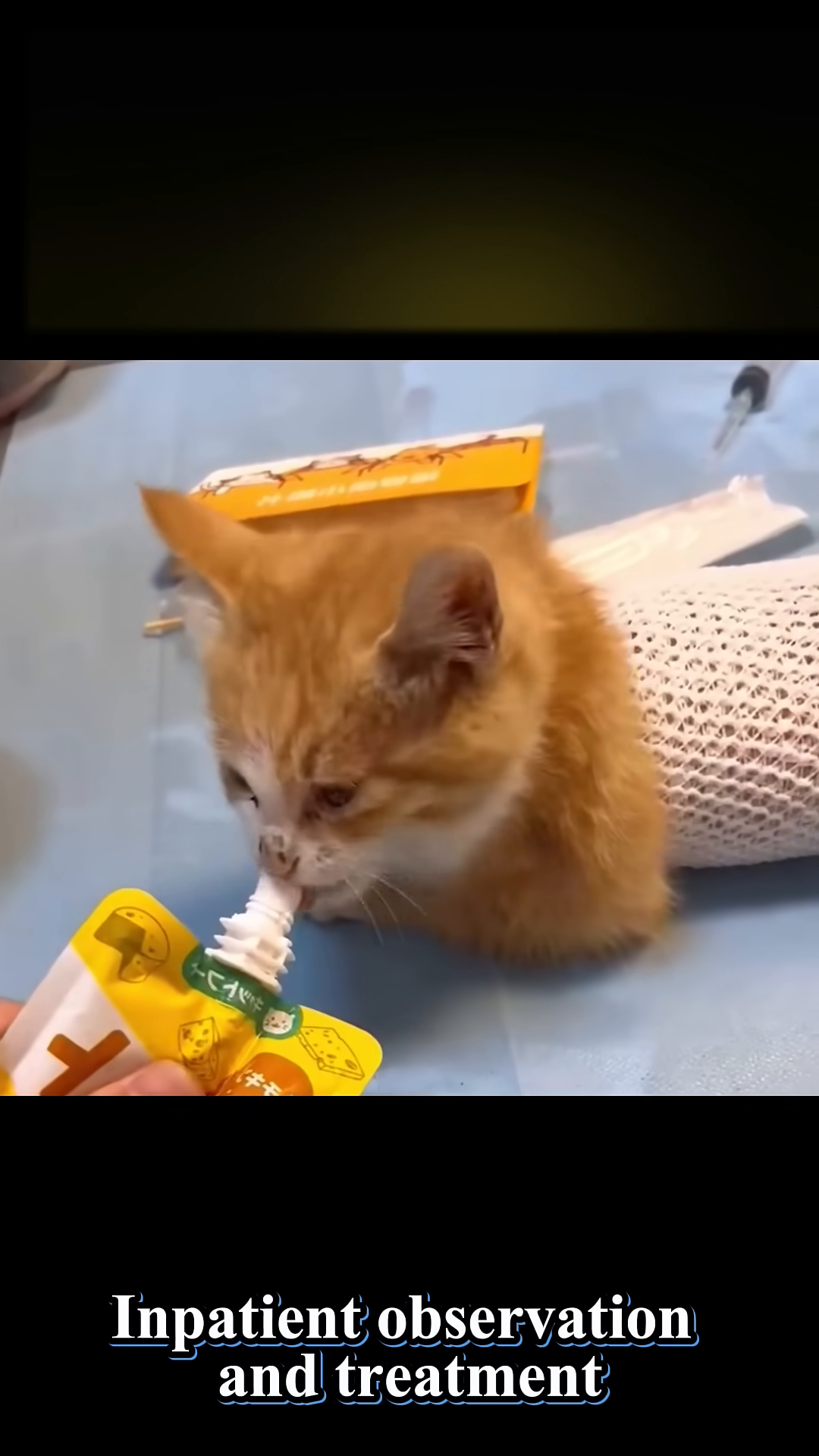 A small orange and white kitten being fed from a squeeze pouch by a person's hand.