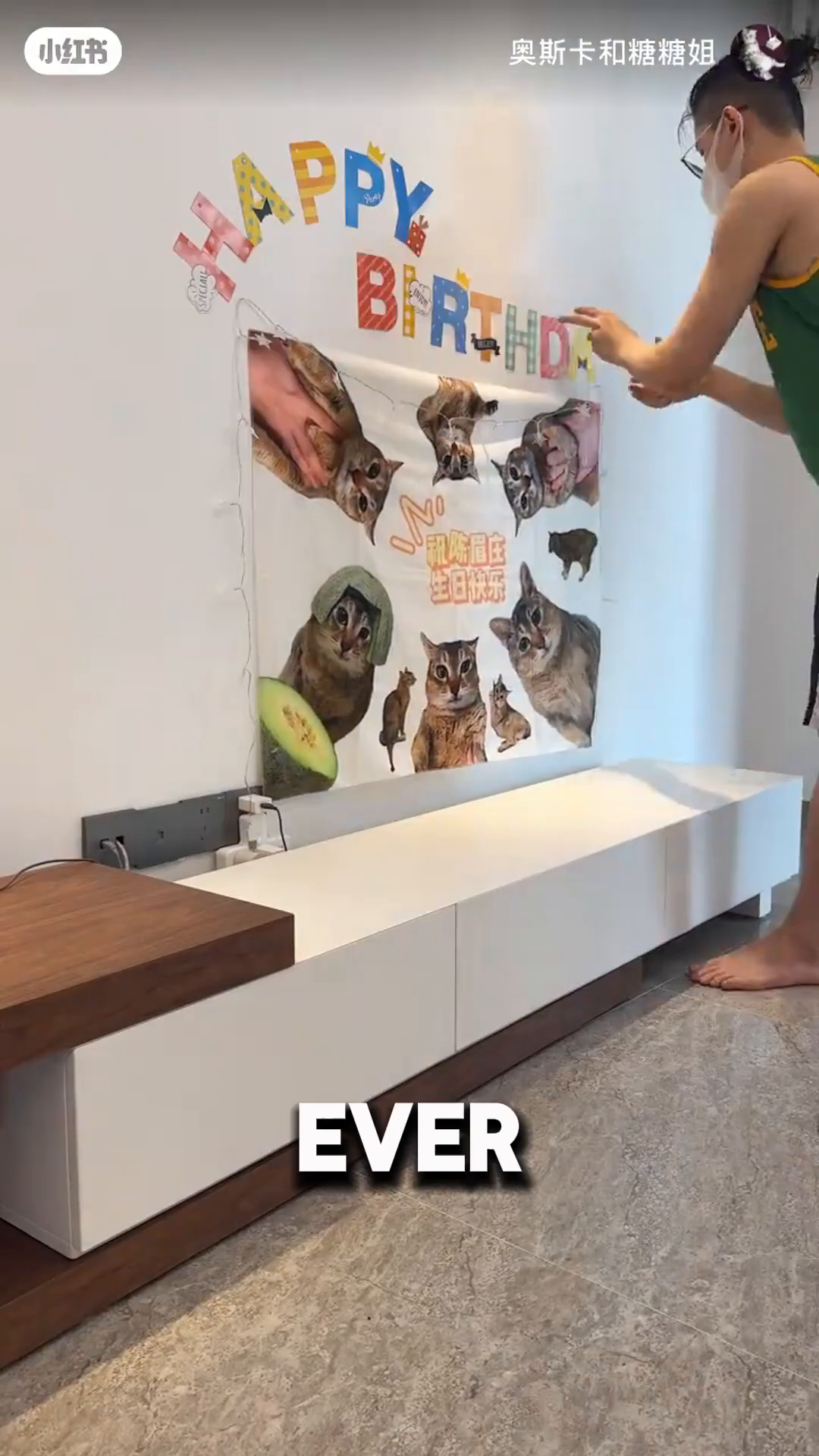 A decorated wall with a banner of cat photos and balloons.