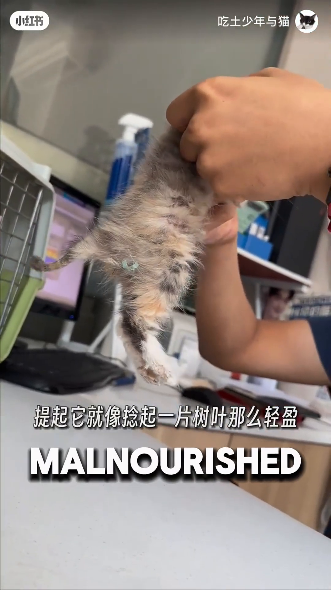 The kitten is being weighed on a digital scale, showing a very low weight.