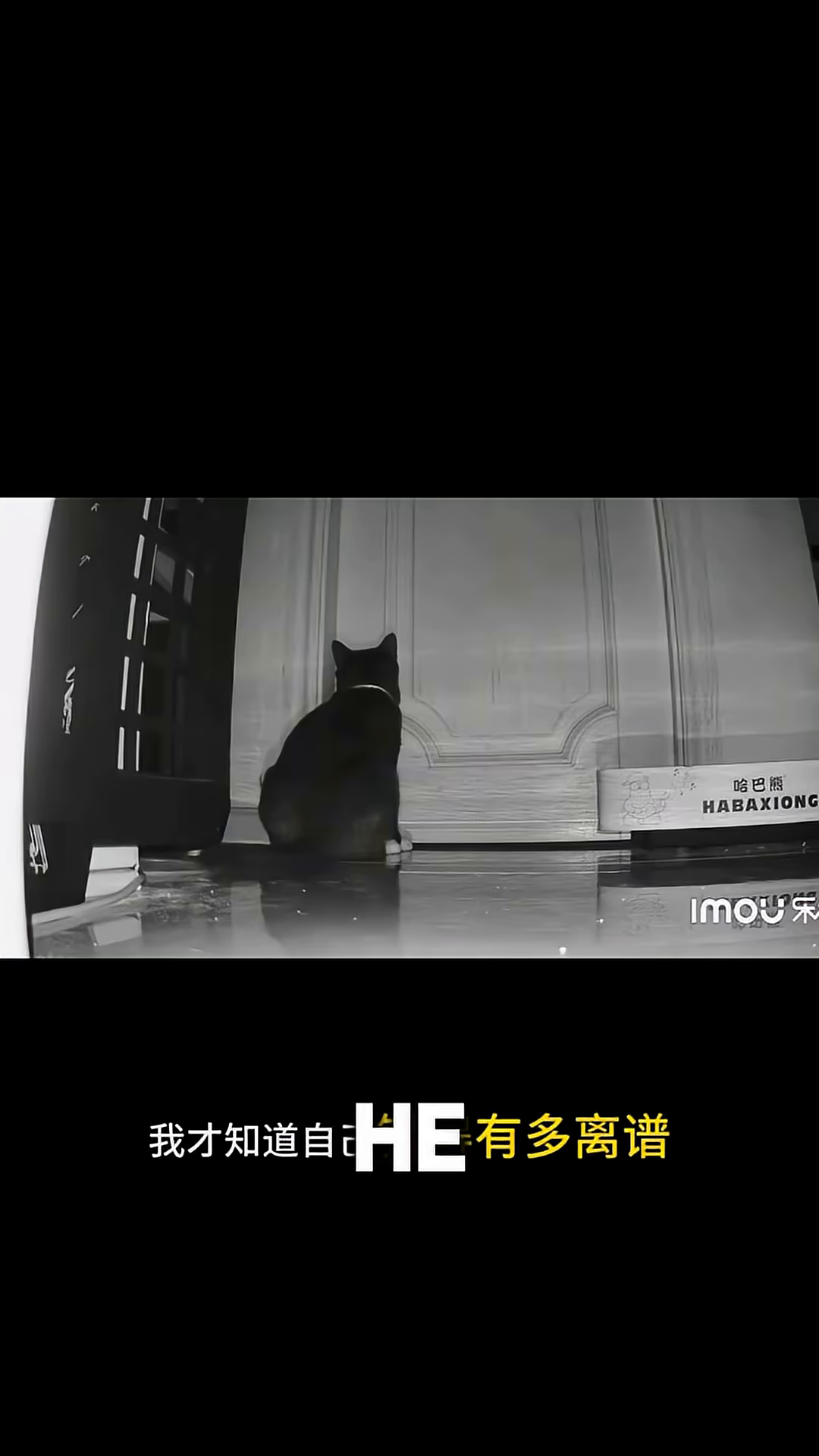 A black and white cat sits in front of a door in black and white footage, its eyes reflecting light.