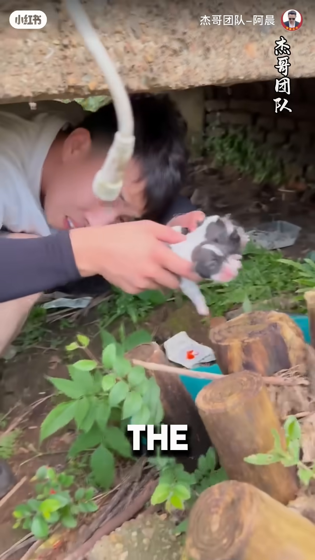 A man holding newborn puppies.