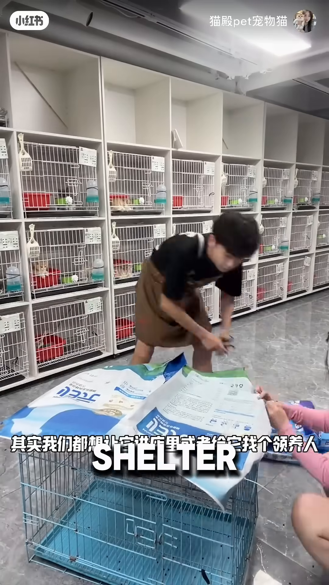 Two large bags of cat food are placed on top of a small blue pet cage, forming a makeshift shelter.