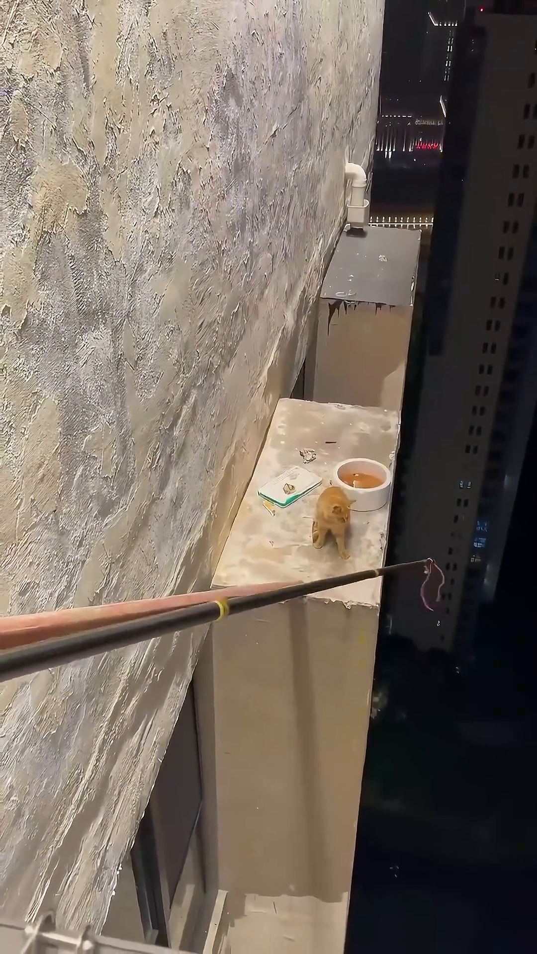 A ginger cat is being lowered down from a high building ledge in a green net.