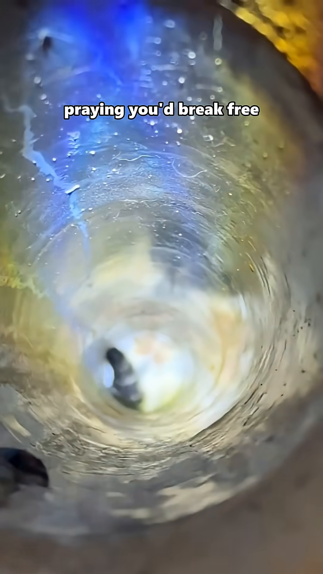 A rescuer uses a tool to hook a kitten's paw in a pipe.