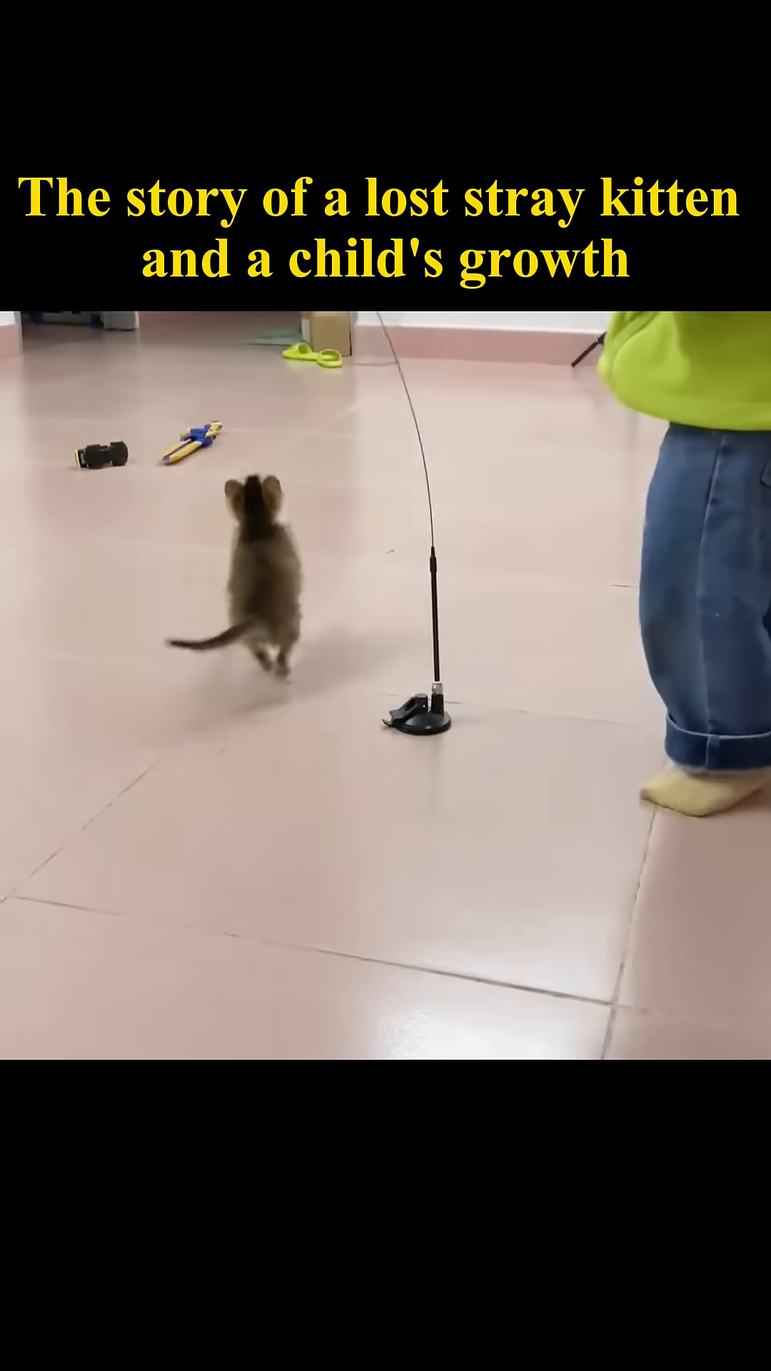 The kitten playfully chases a toy while the boy watches.