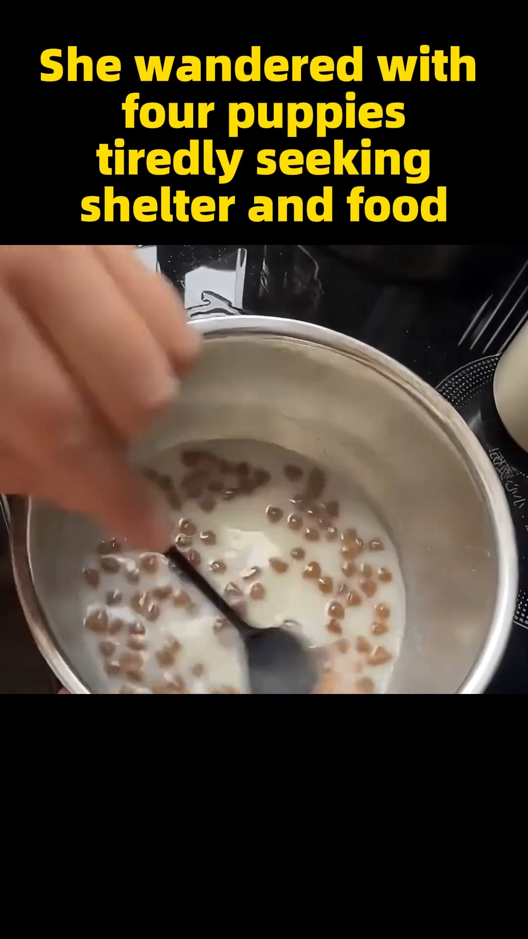 A person's hand holding a spoon with food, offering it to a puppy in a cage.