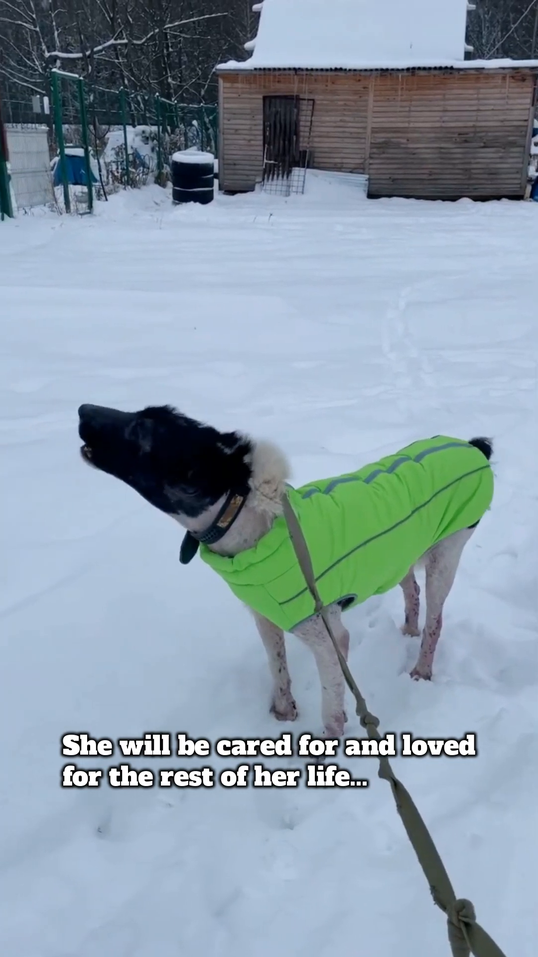 Lun-ka stands in the snow, wearing her coat, looking towards a brighter future.