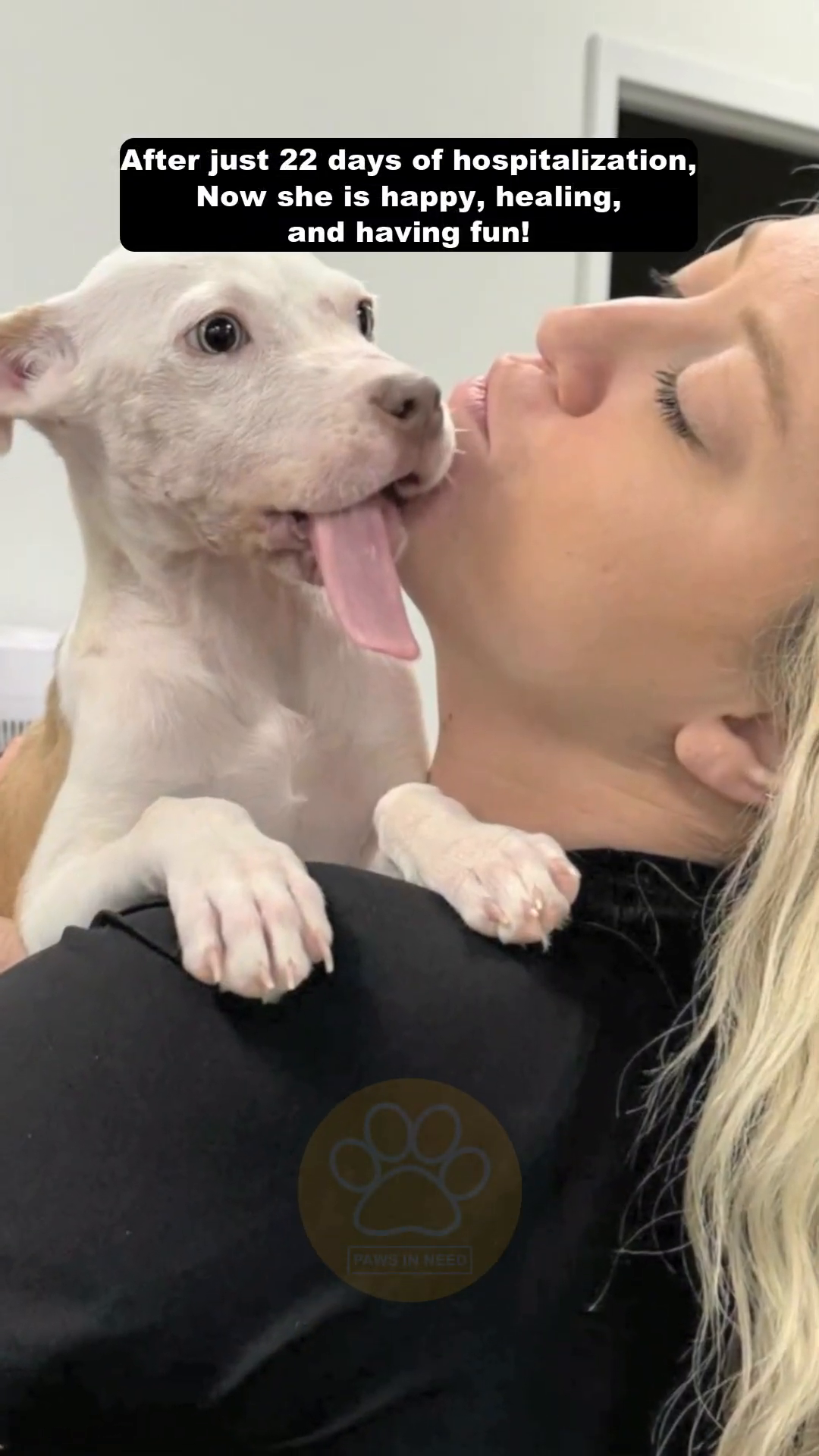 A woman holding a puppy, who is licking her face.