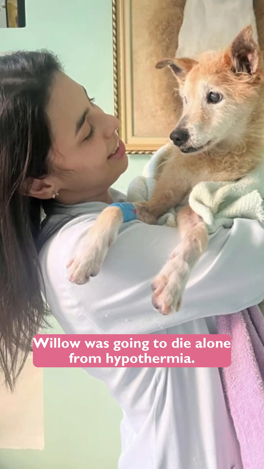 A person lovingly holds Willow, who is wrapped in a blanket, showing a tender connection.