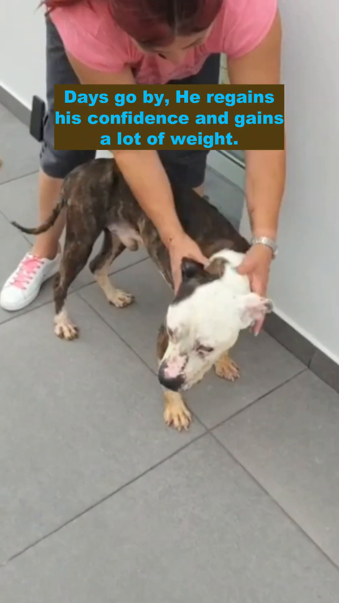 Mar, looking healthier and more confident, interacts gently with a caregiver.