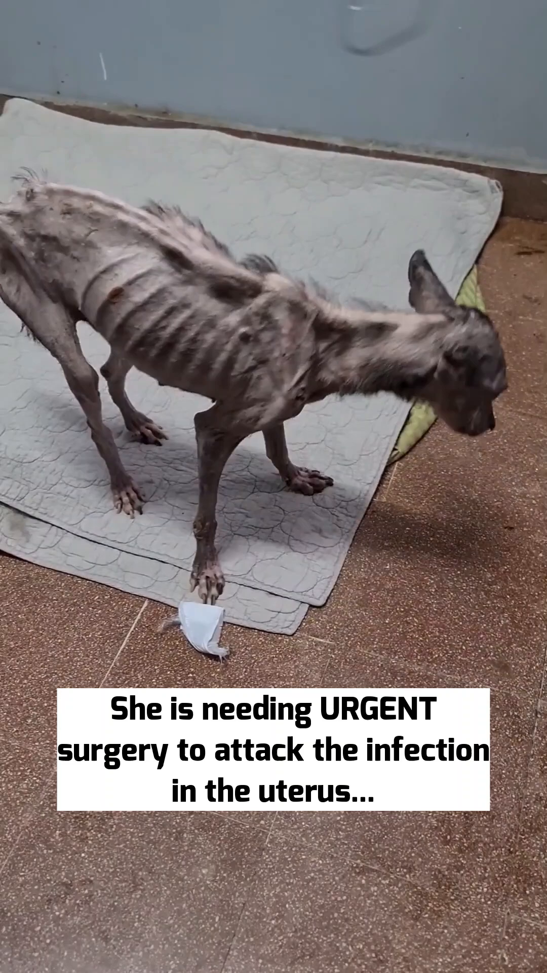 Angela is lying down, looking very weak, with a medical setup nearby.