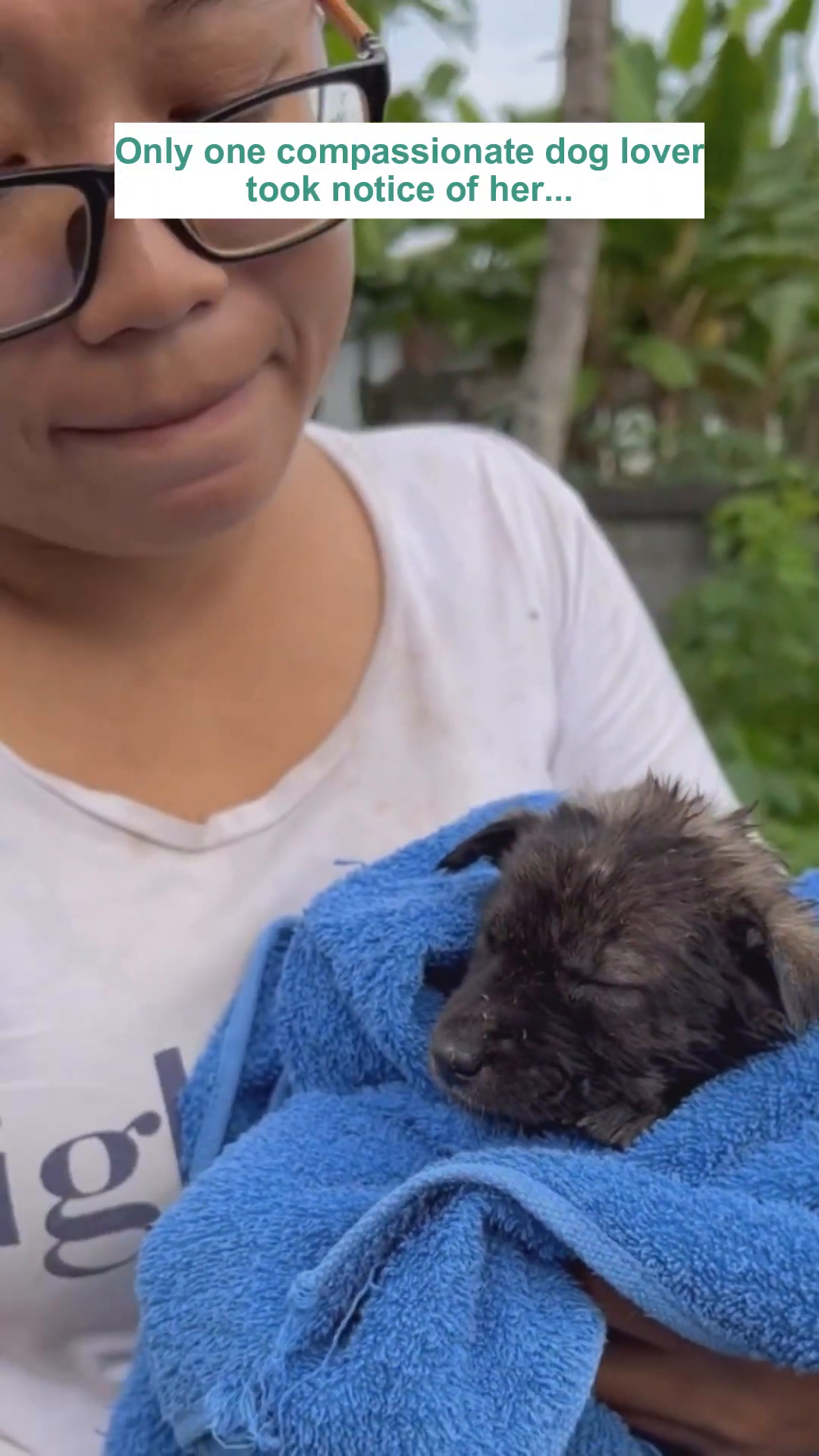A close-up shot of the puppy's face, showing its innocent eyes and matted fur.