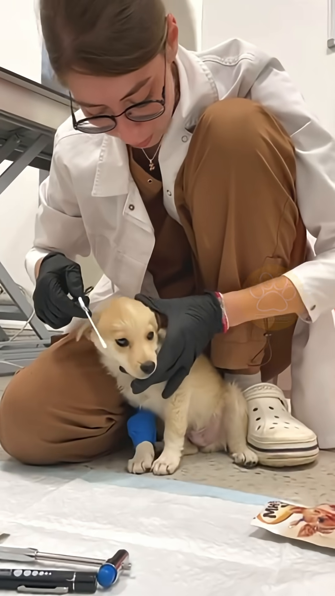 A young girl gently holds a light-colored puppy, nuzzling it affectionately.