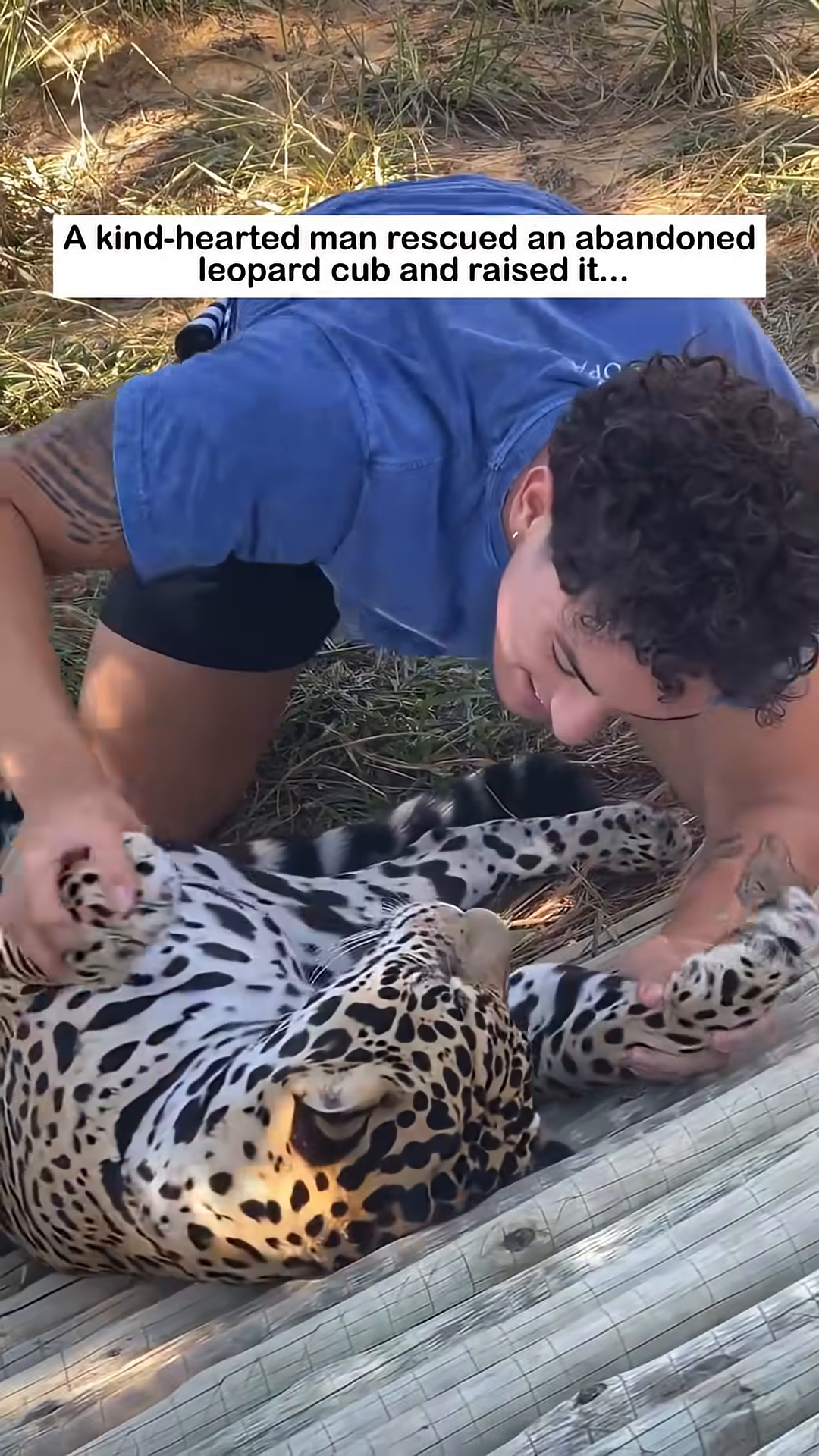 The man shares a tender embrace with the leopard, highlighting their deep and loving connection.