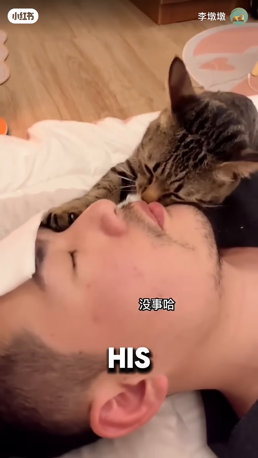 A kitten gently touches a person's face with its paw, offering comfort.